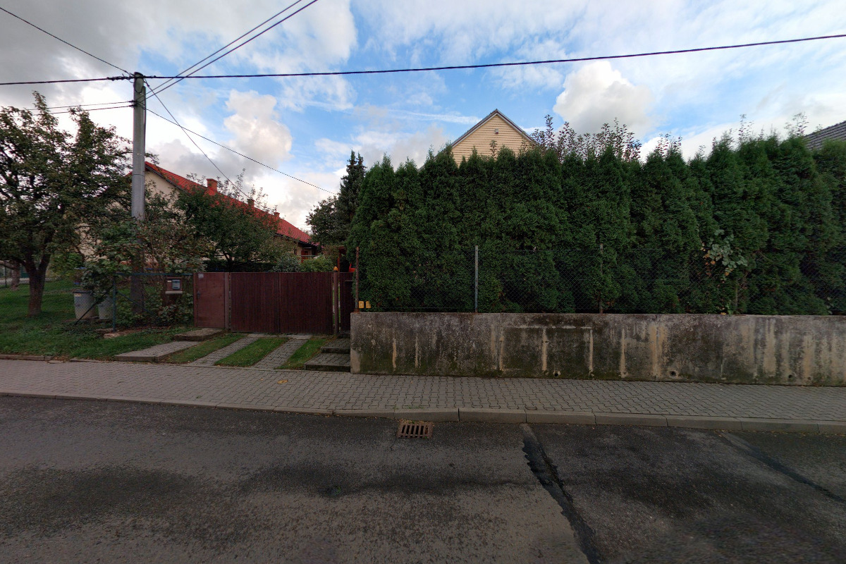 Hodinový manžel - David Berger