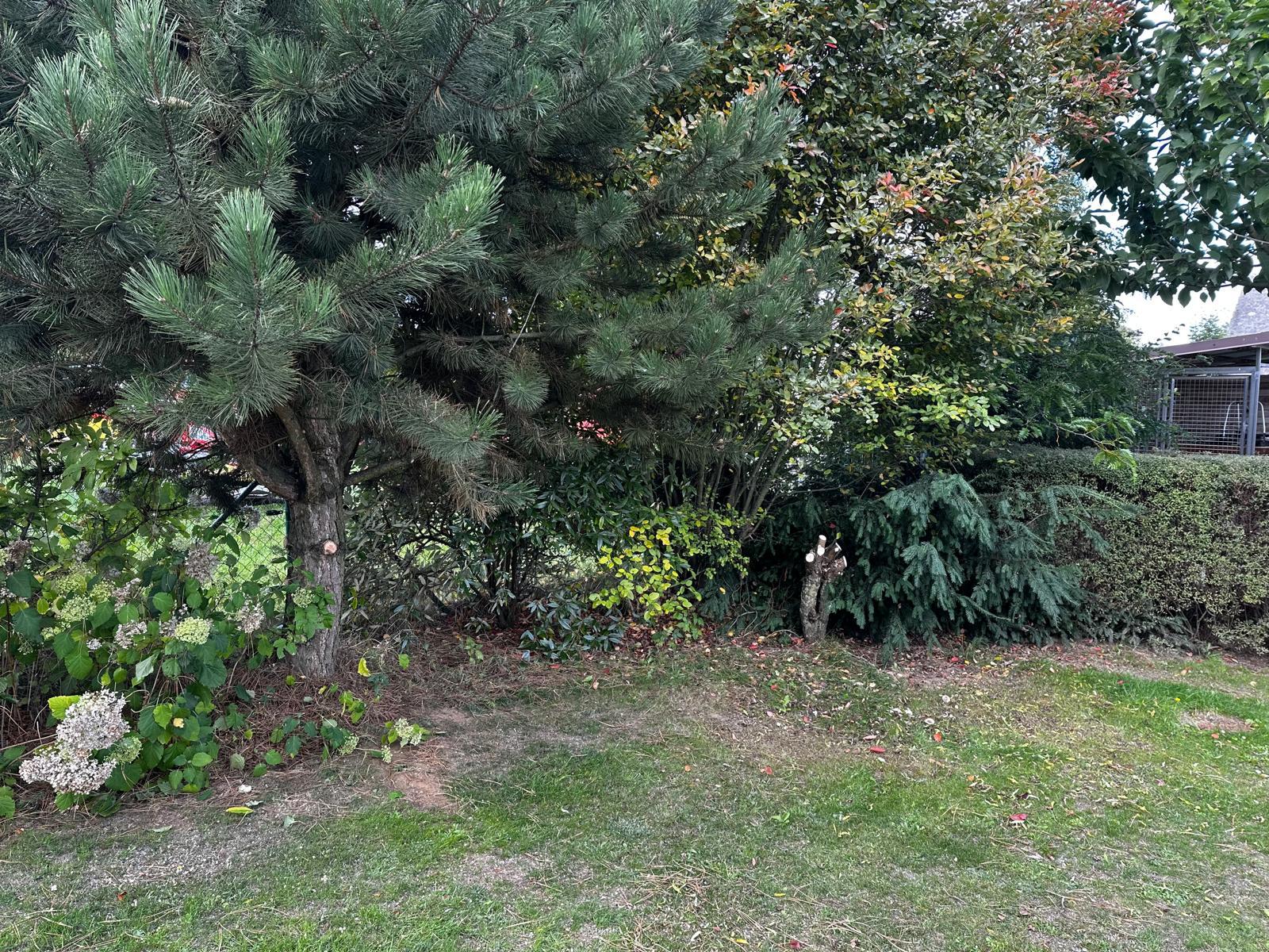 Evelegarden.cz foto 6