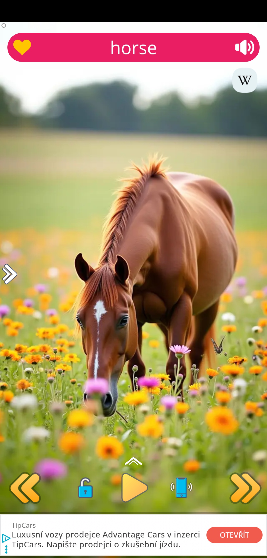 Restaurace Praha foto 2