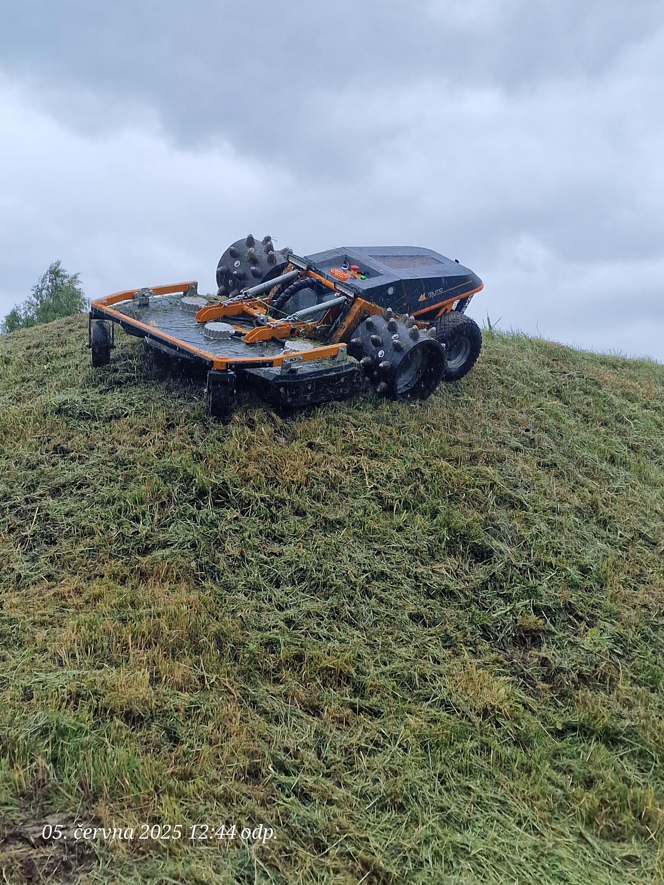 SRNEC ZELEŇ foto 2