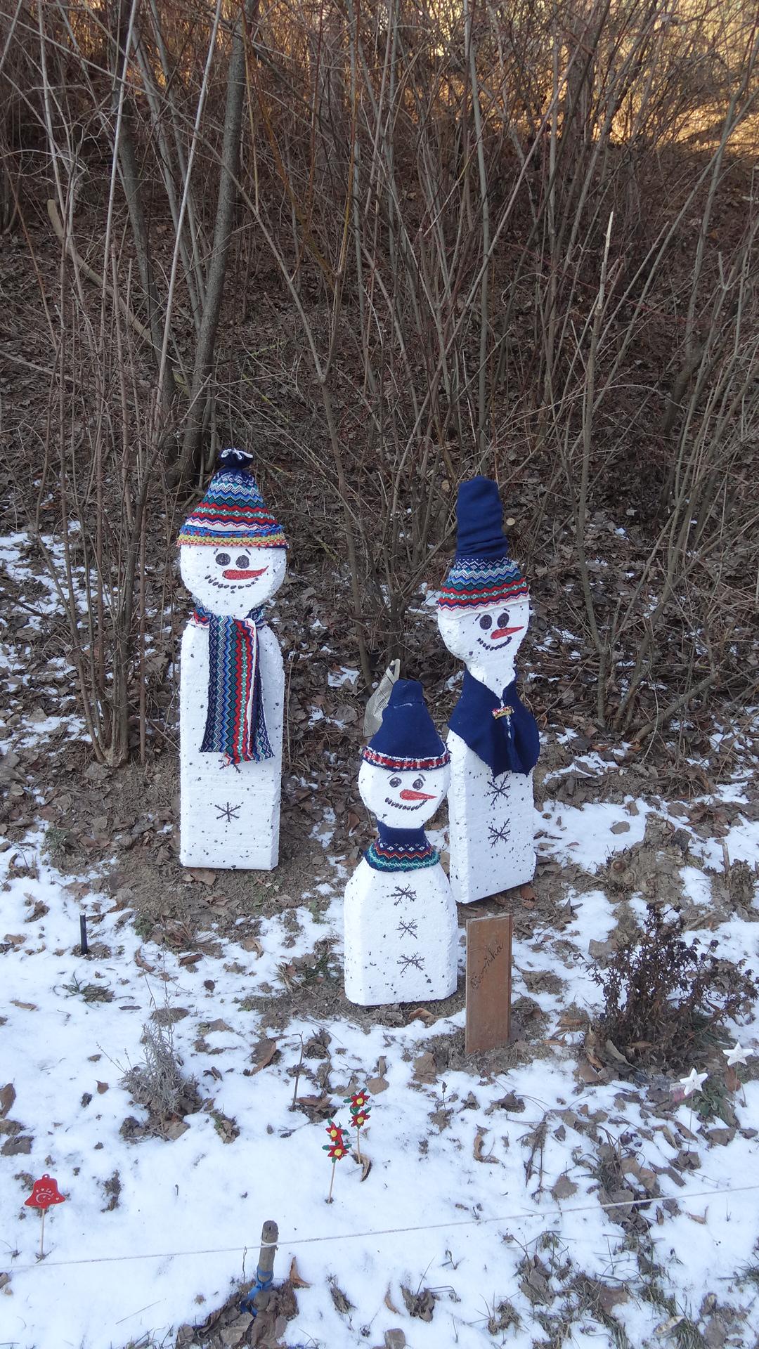 Domov se zvláštním režimem Bohunice foto 3