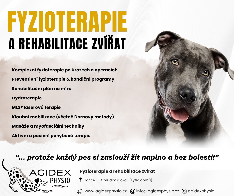 AGIDEX PHYSIO foto 2