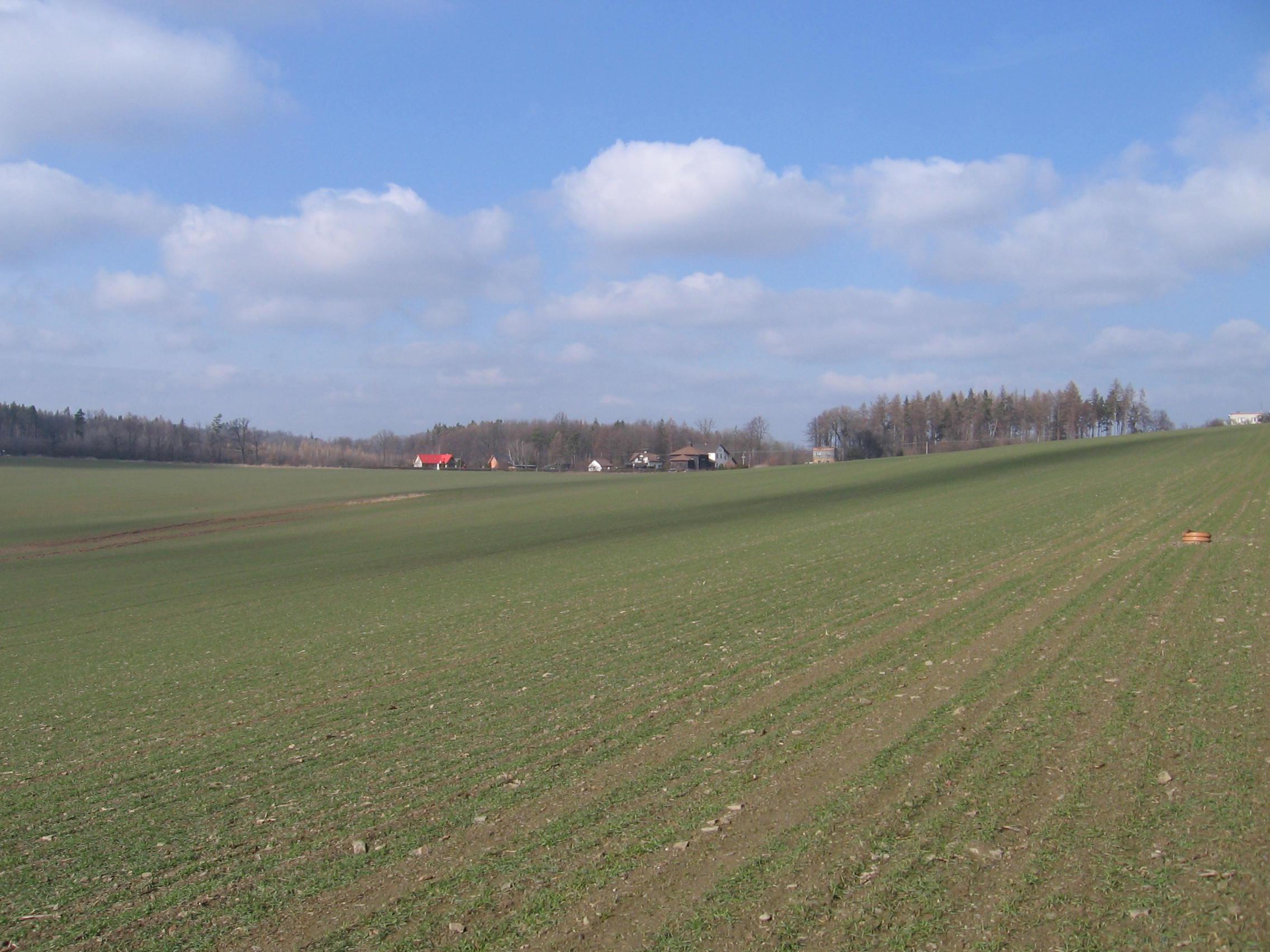 Hostinec u Buroně Mexiko foto 6