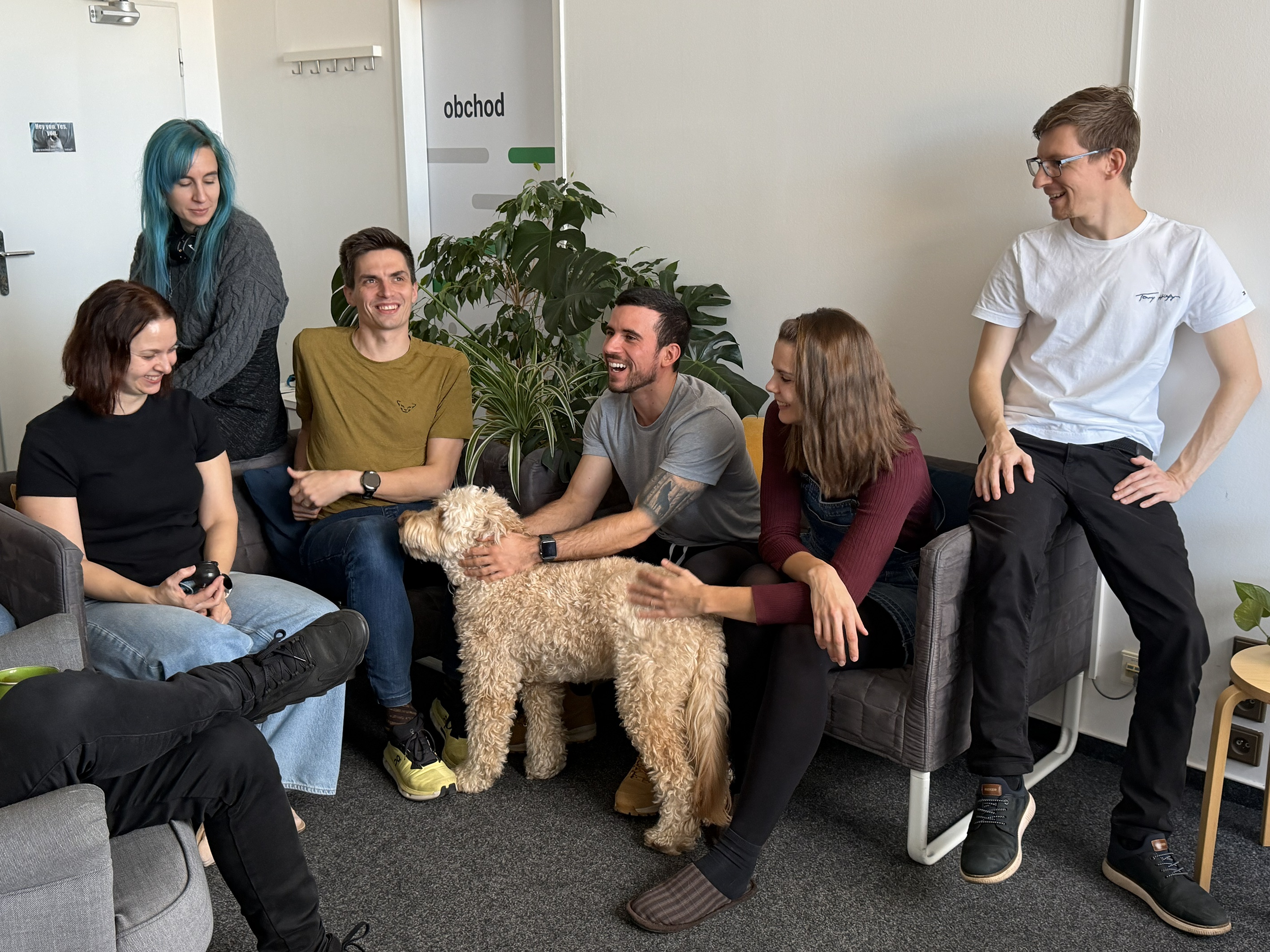 Mravenci na online reklamu foto 4