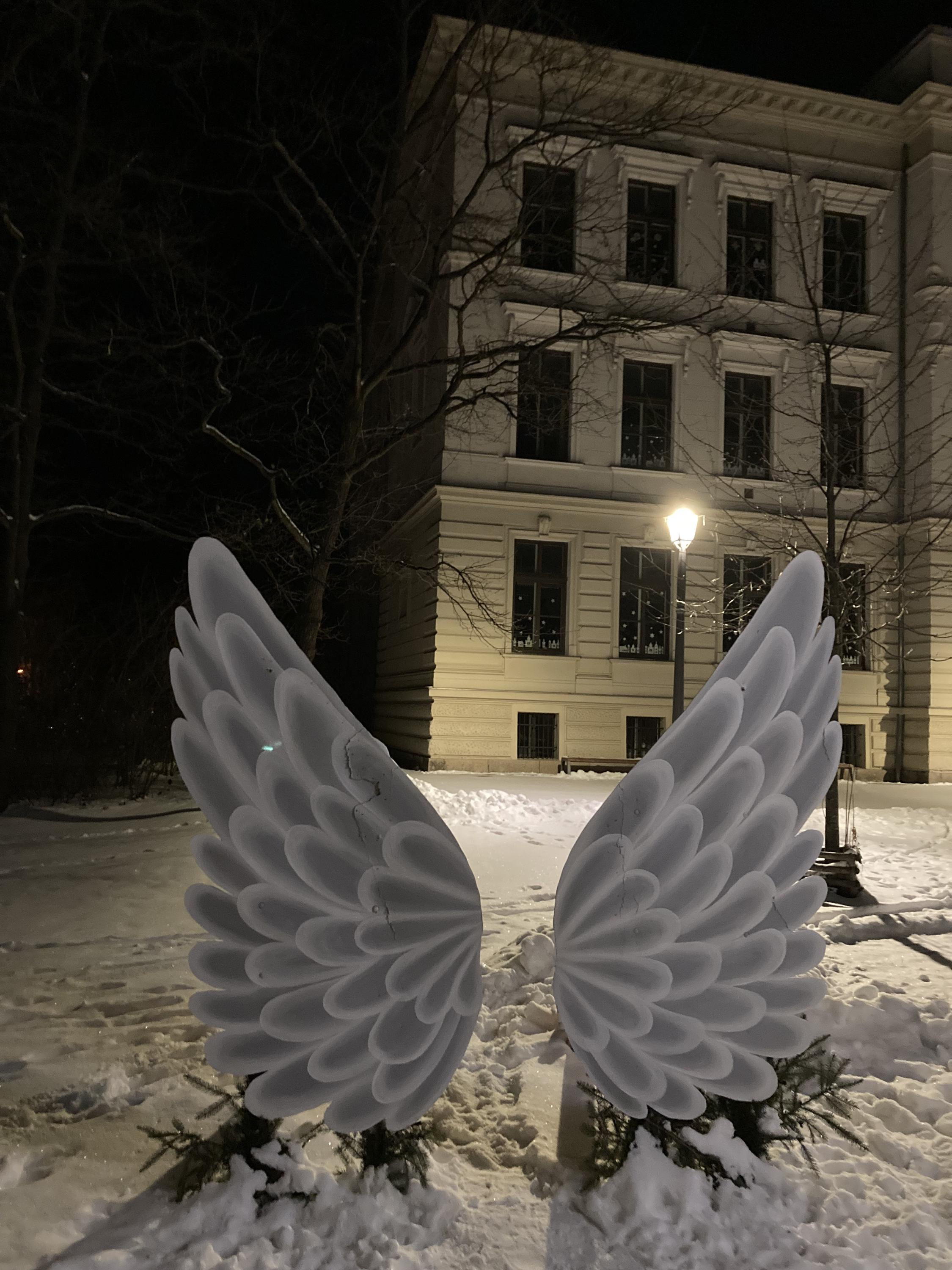 Základní škola Třeboň, Sokolská 296 foto 2