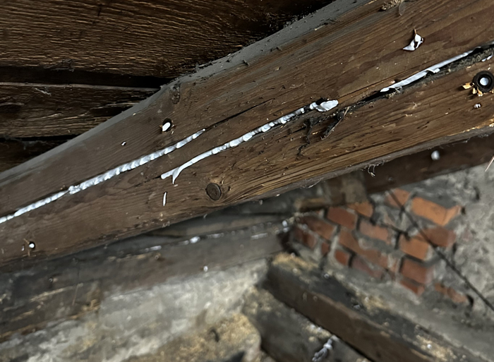 Ochrana-dreva.cz foto 4