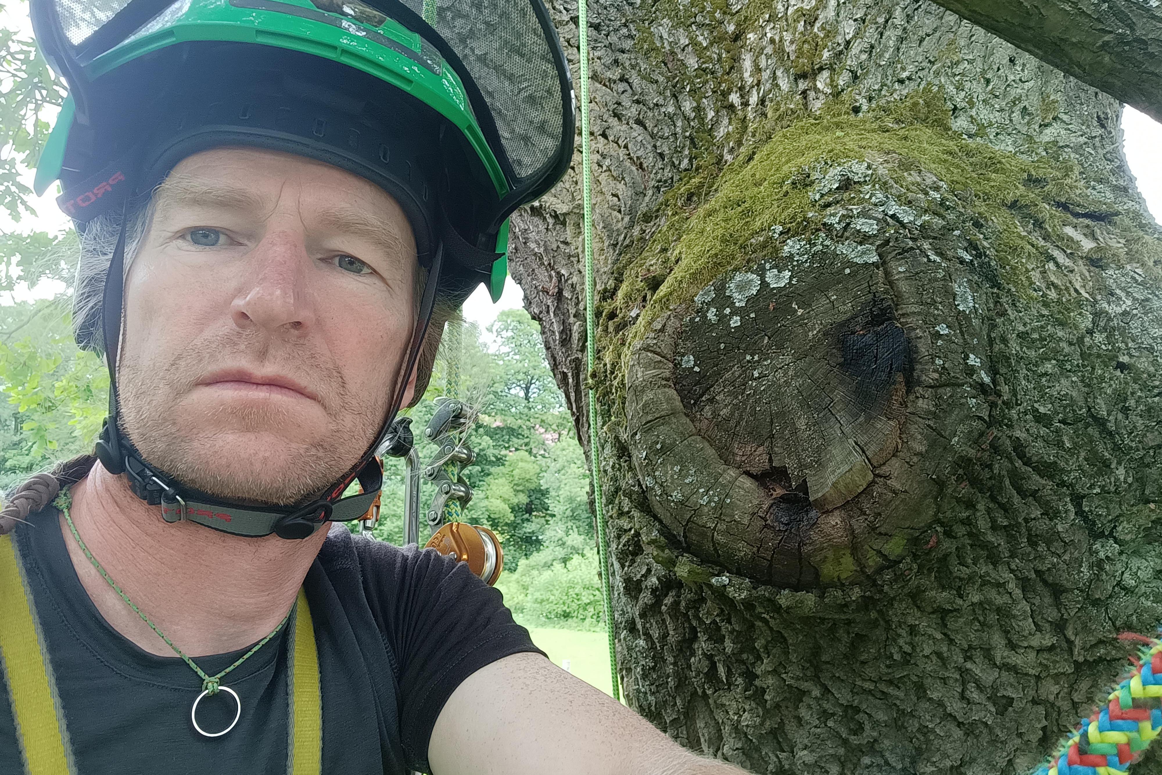 Jan Bábek ENTTREECARE