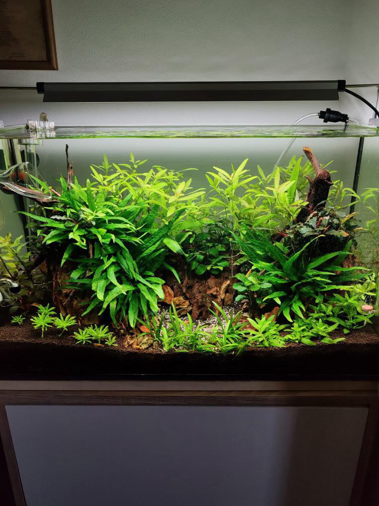 MarasAqua - servis a realizace akvárií foto 3