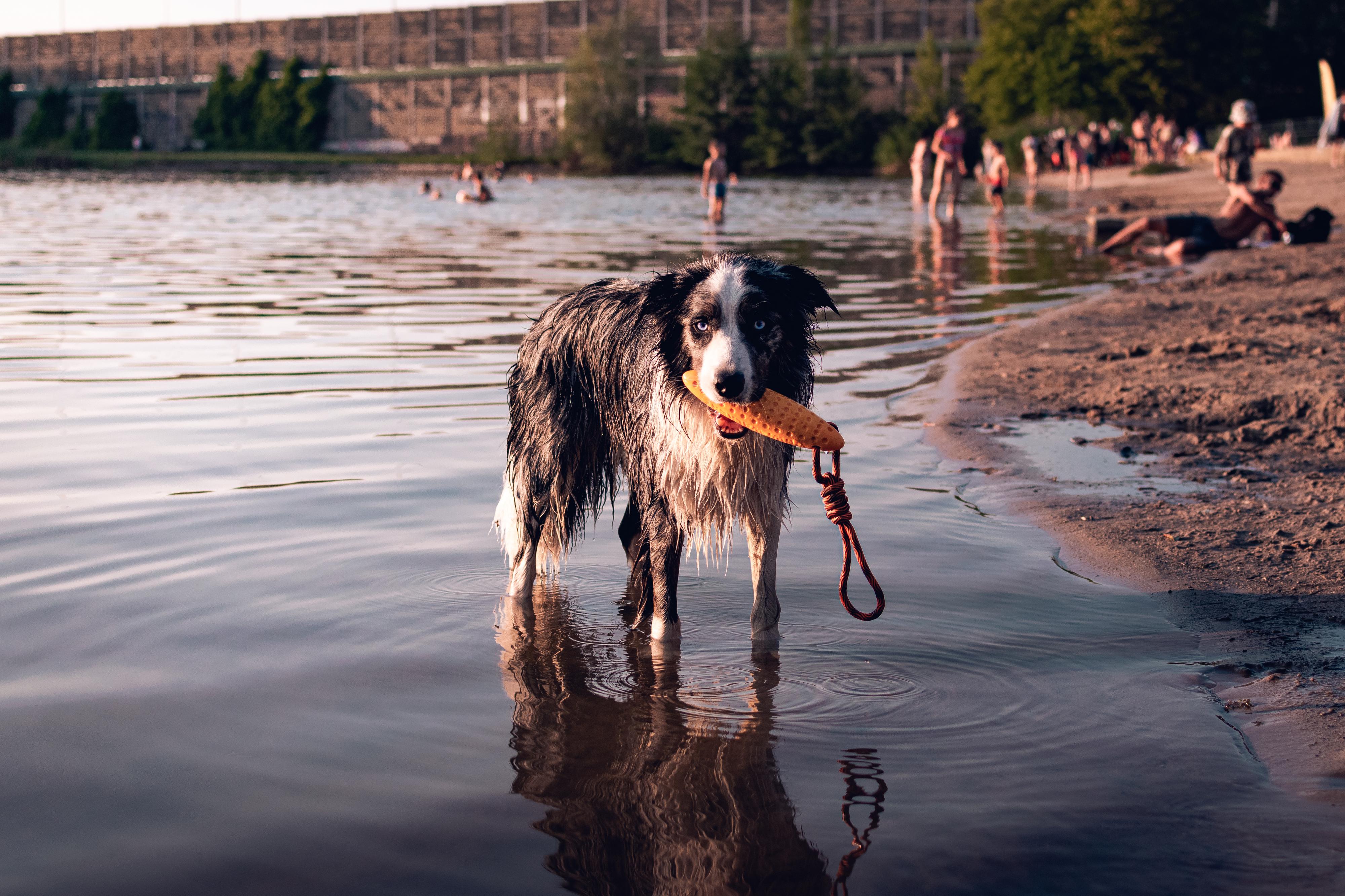 Kiwiwalker.cz foto 3