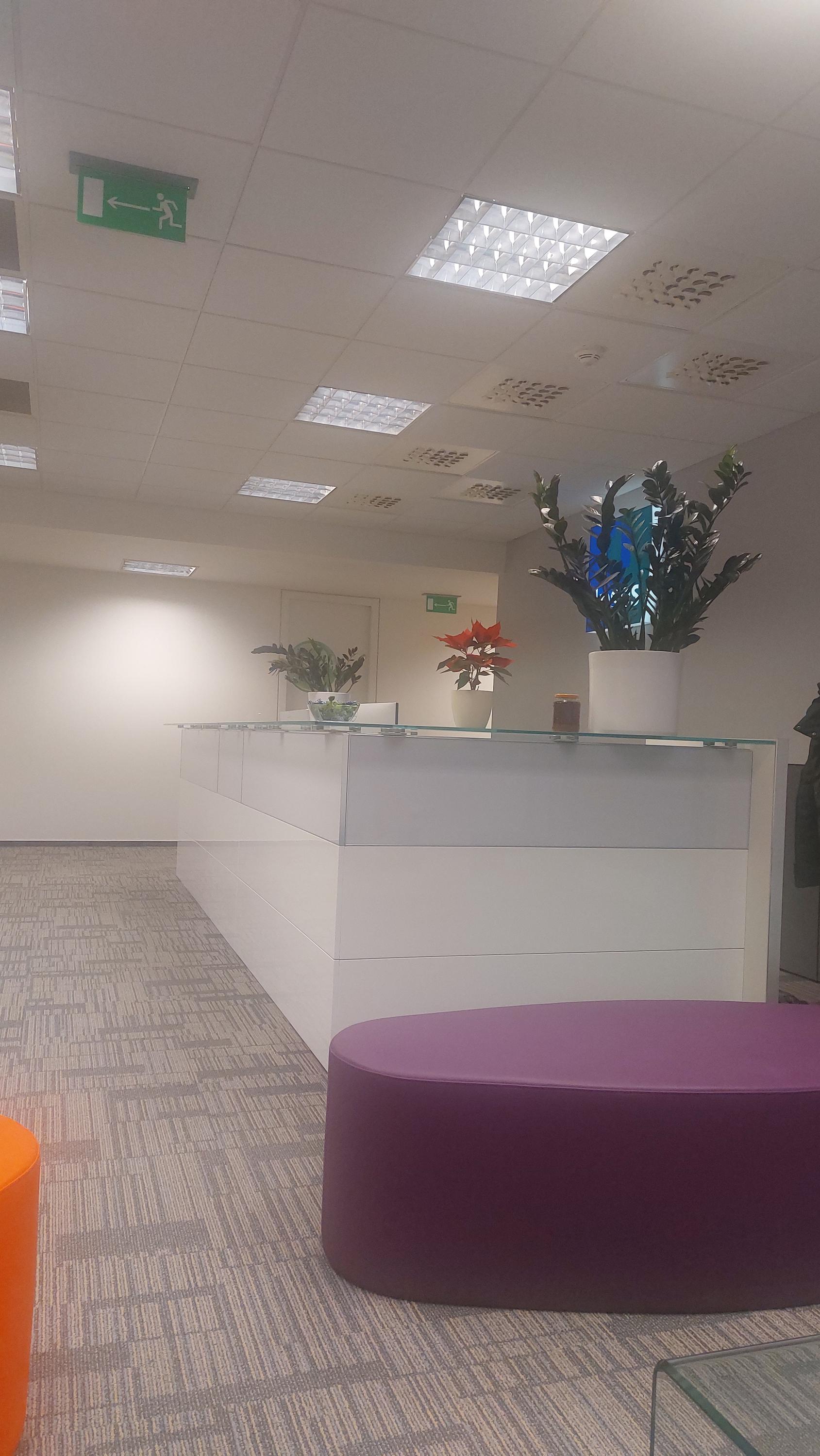 IPSOS s. r. o. foto 6
