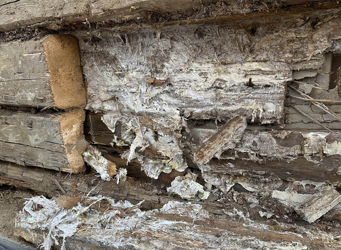 Ochrana-dreva.cz foto 6