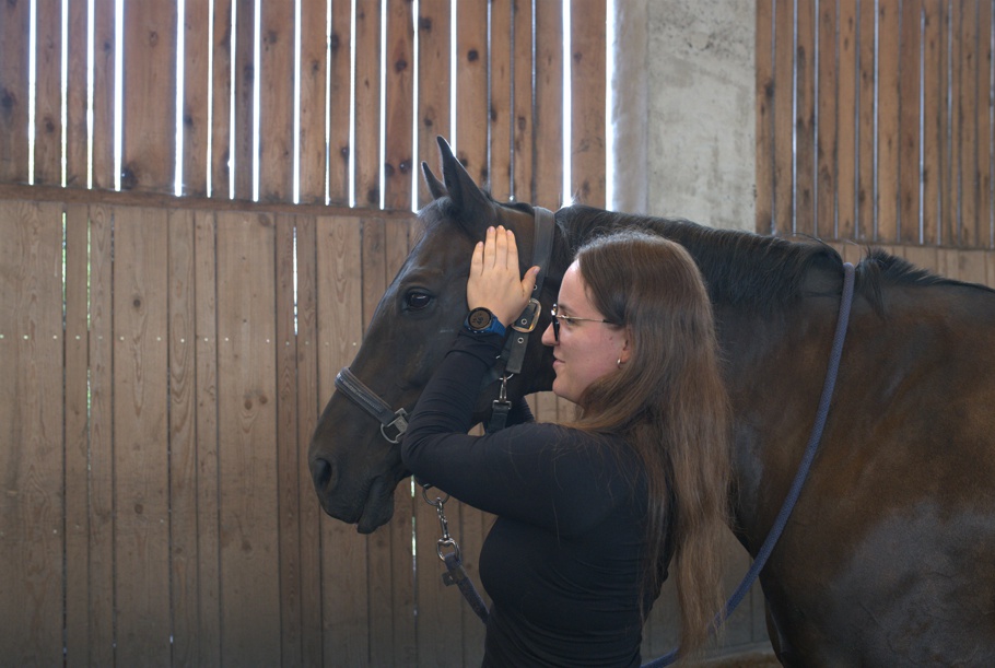 Equinea - fyzioterapie koní a psů foto 4
