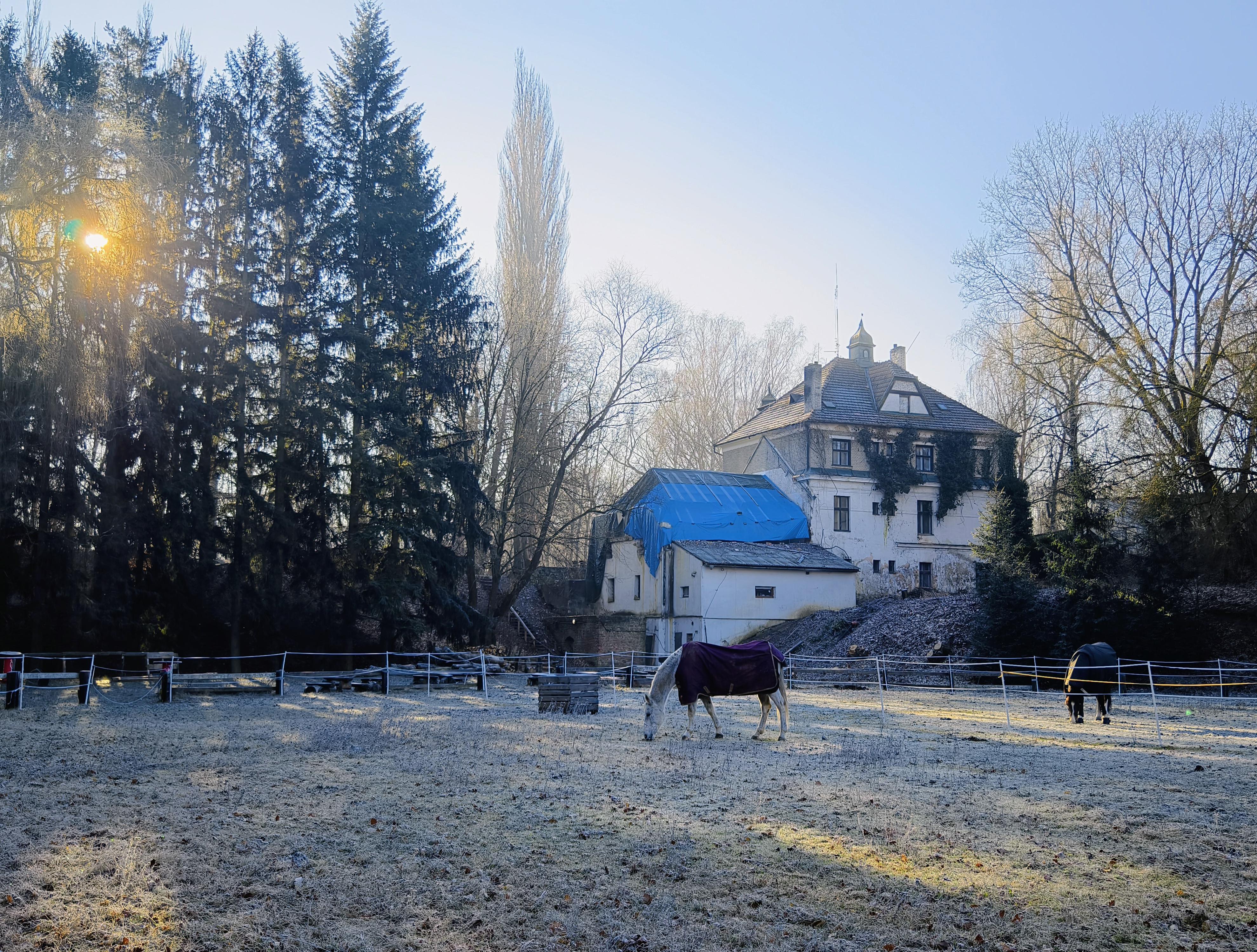 Jezdecký klub ELIOT foto 4