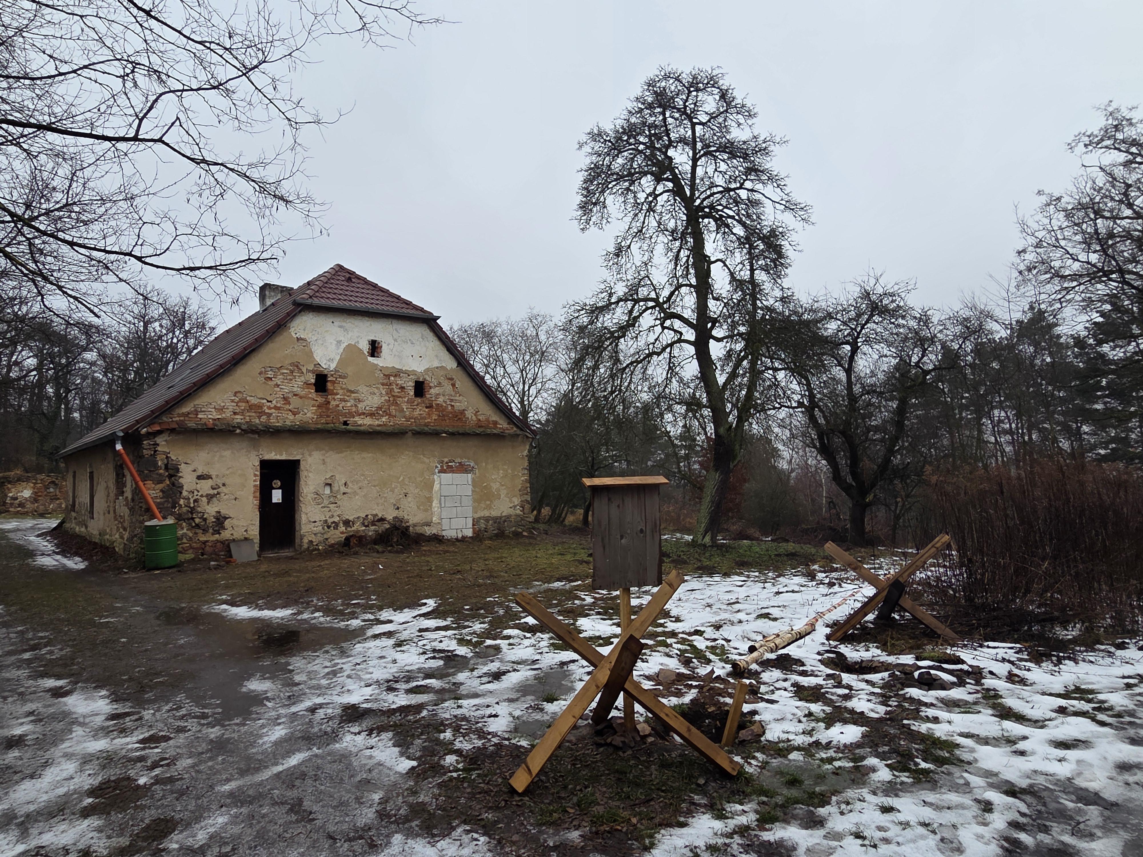 Survive Zone foto 5