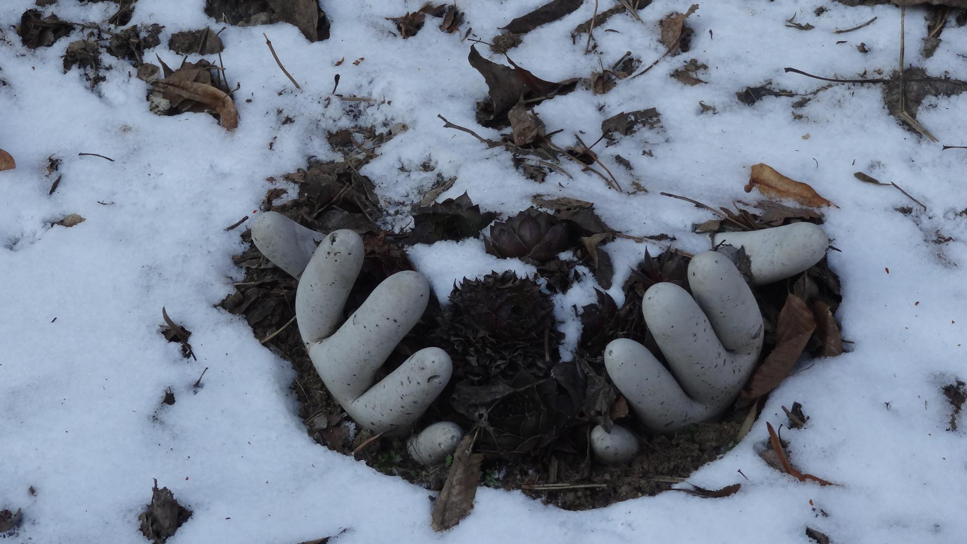 Domov se zvláštním režimem Bohunice foto 2