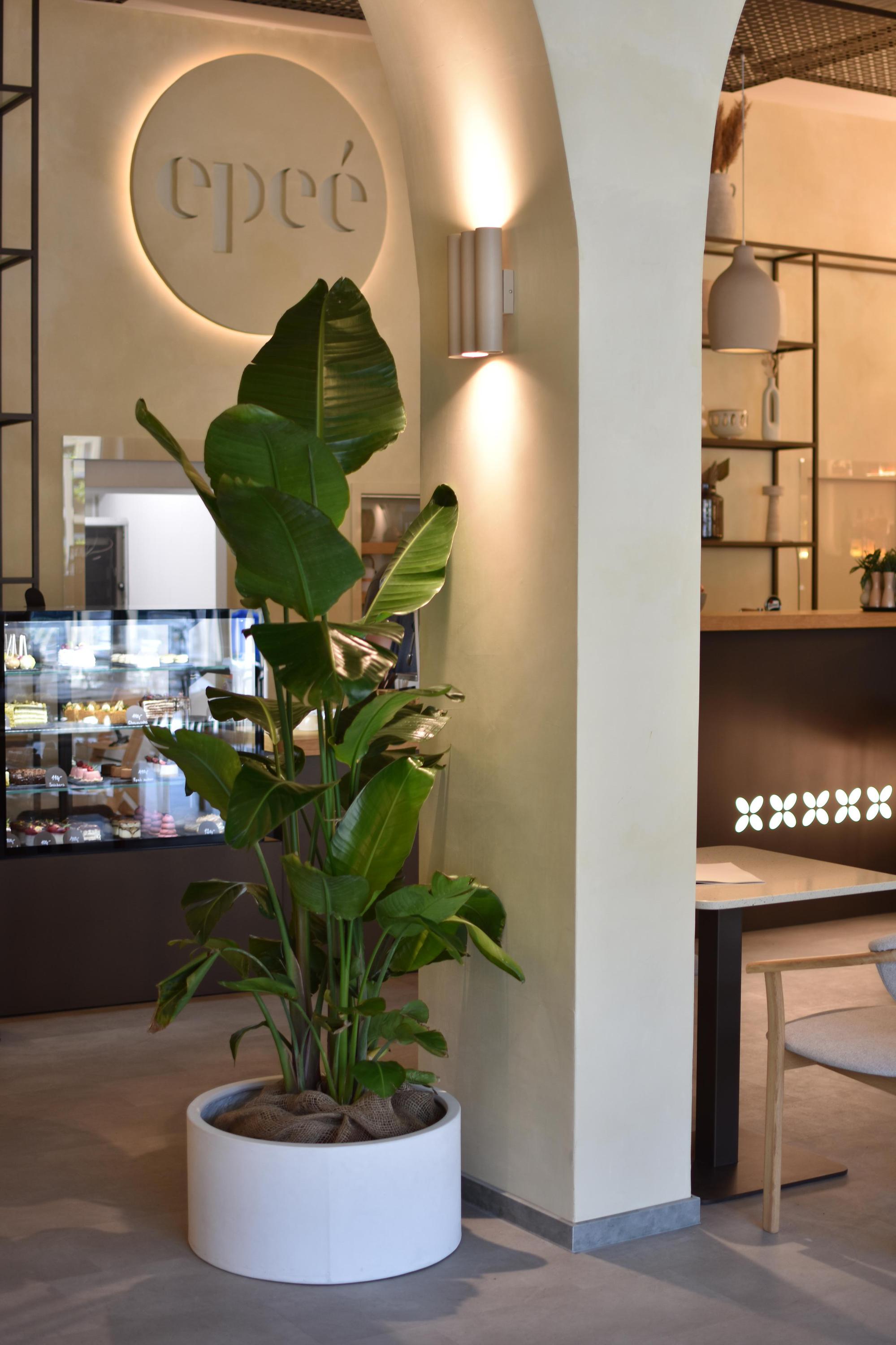 Epeé cafe foto 4