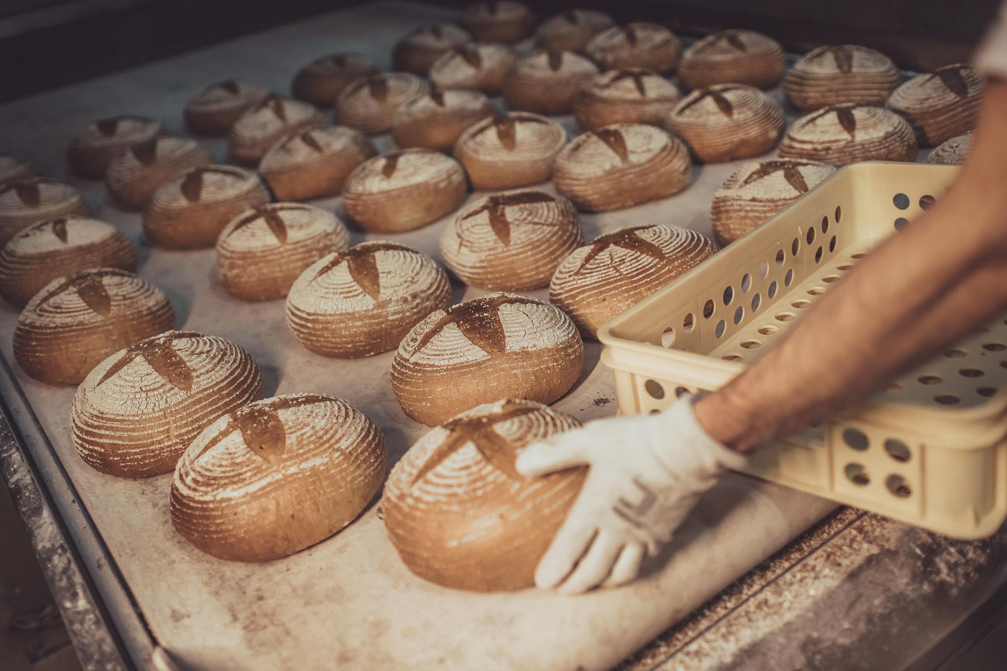 Pekárna Velíšek, s.r.o. foto 1