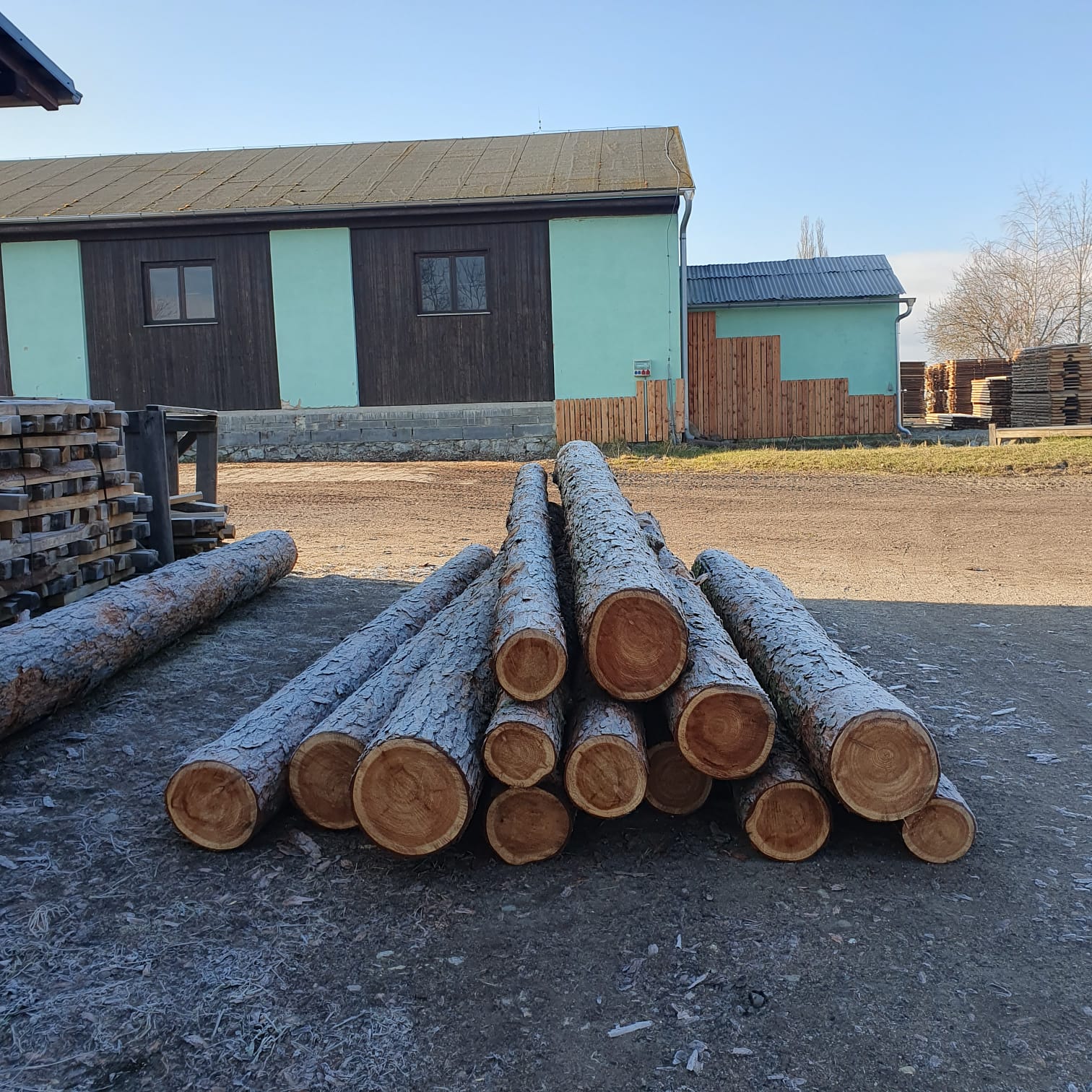 Pila Dunajovice Hels  s.r.o foto 4