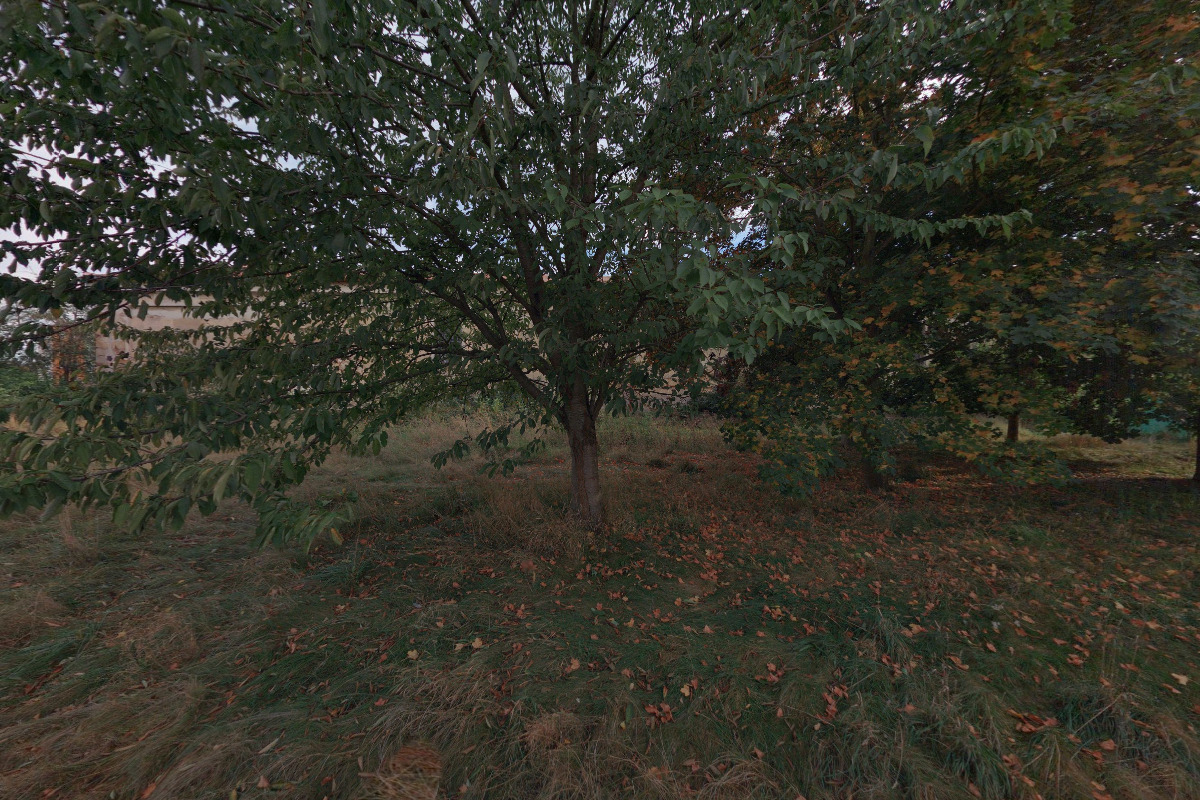 Kulturní a kreativní centrum WOLFRAM foto 6