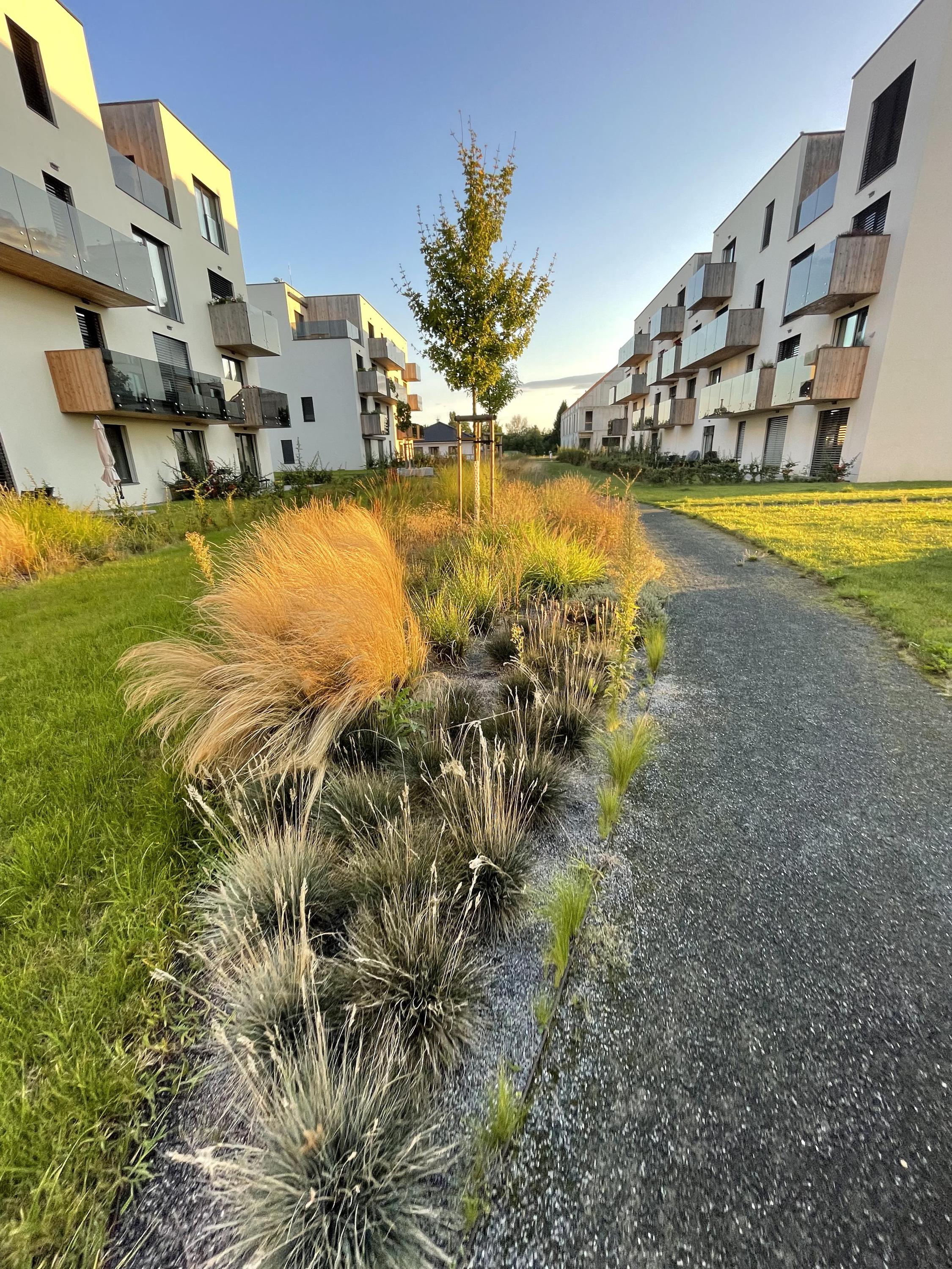 Realizace a údržba zahrad Marek Novák foto 2