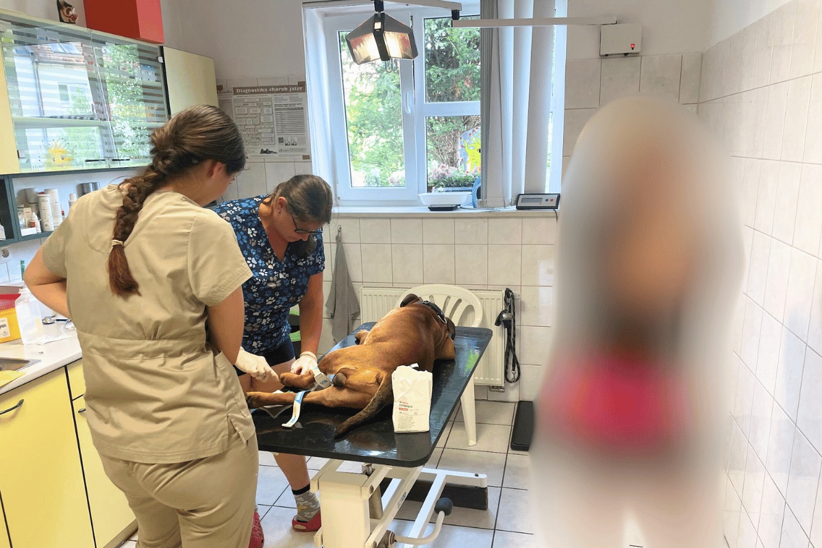 Veterinární klinika Zvíře+ foto 6