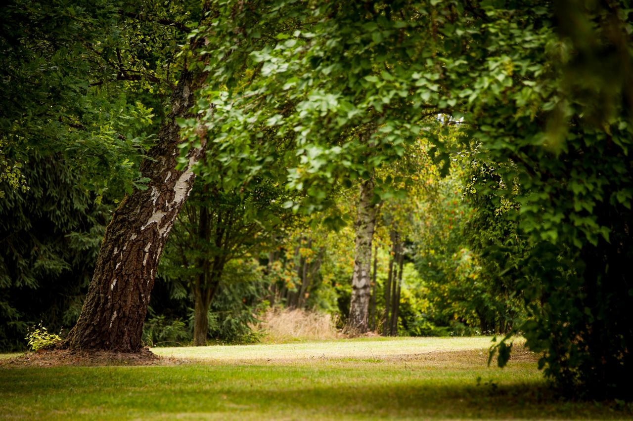 PARKHOTEL SKALNÍ MĚSTO foto 2