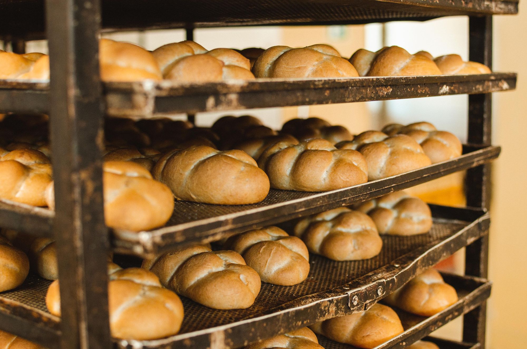 Pekárna Velíšek, s.r.o. foto 4