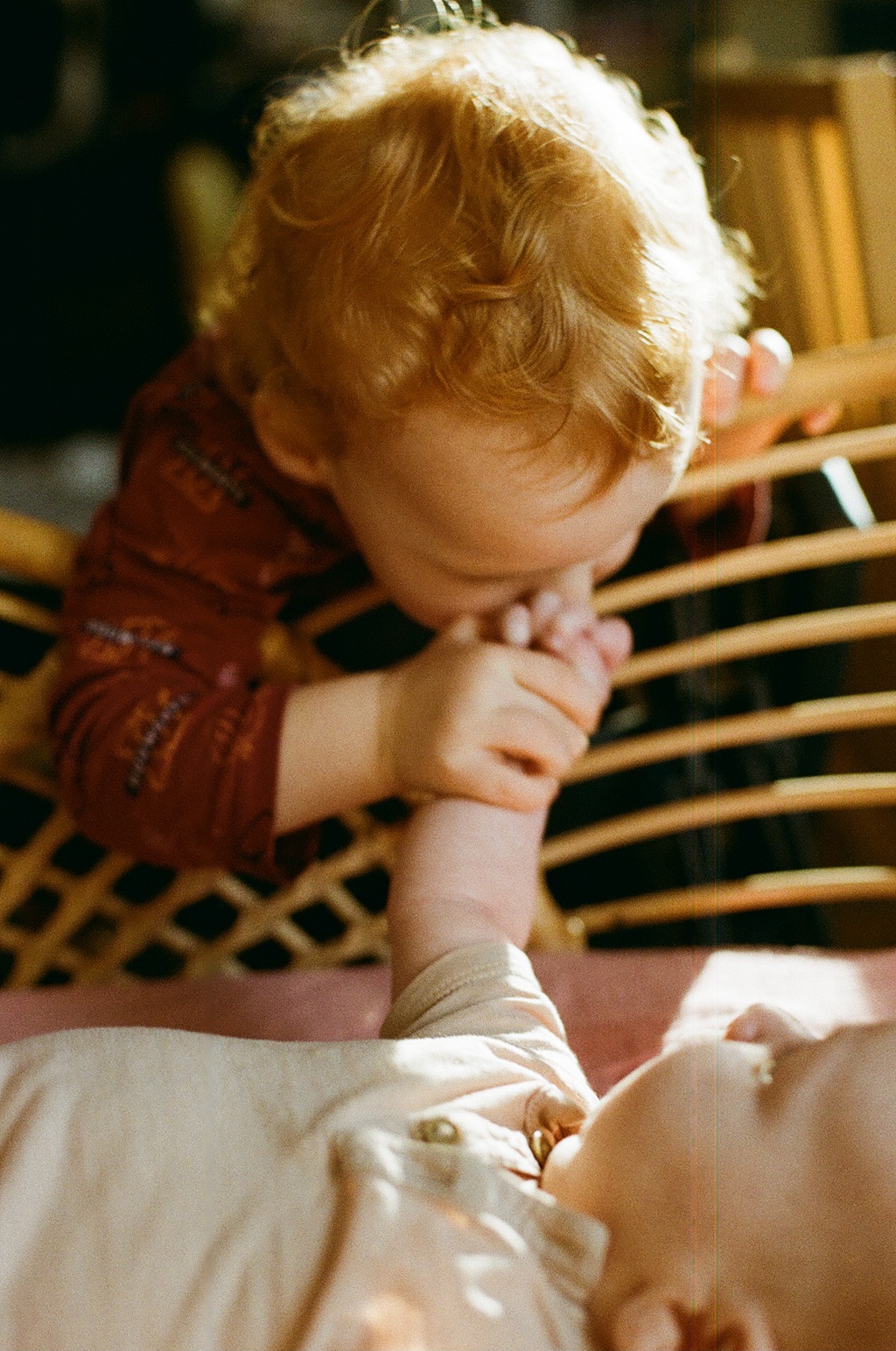 Fotografka Alžběta Kopřiva foto 3