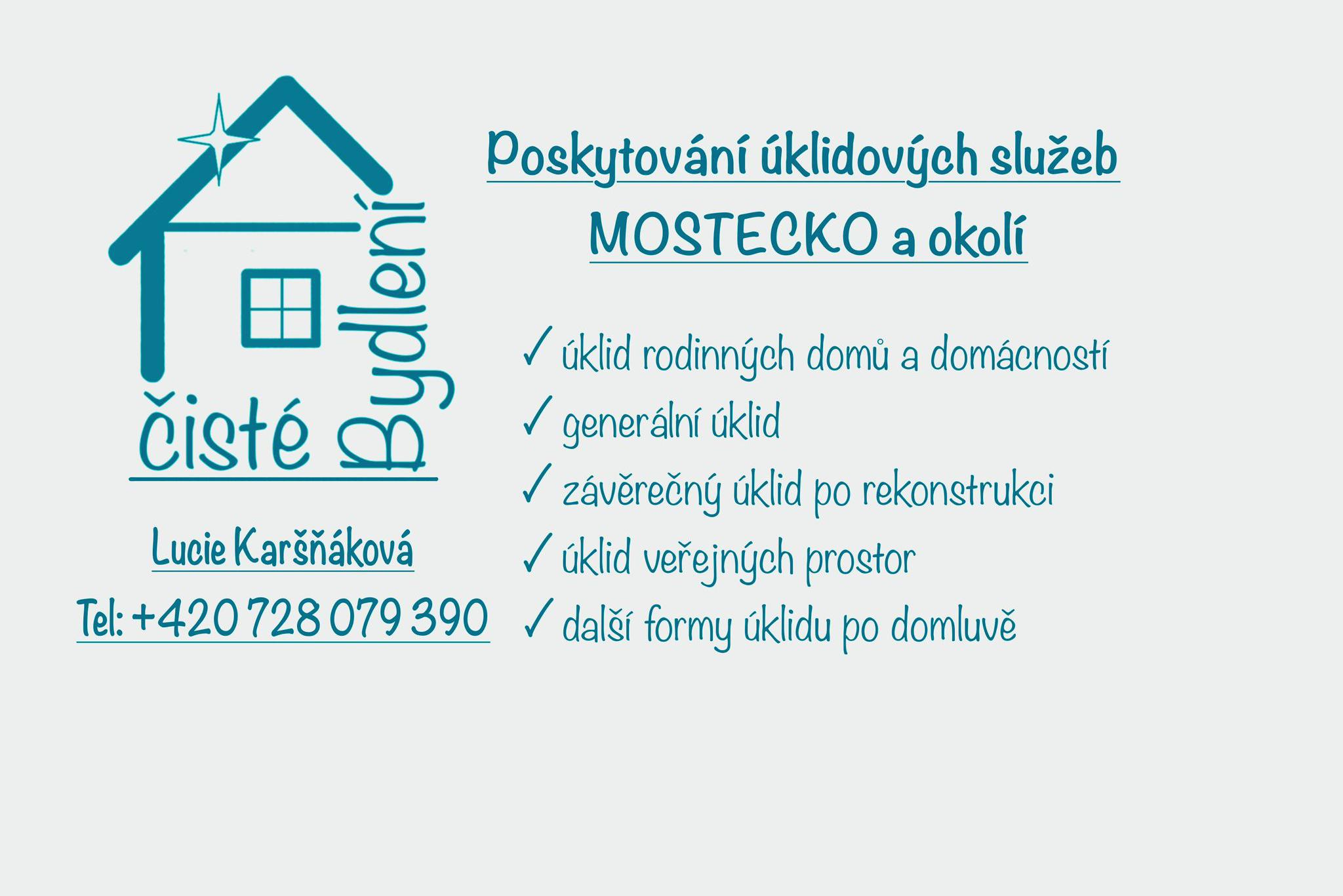 Úklid Litvínov, Most a okolí