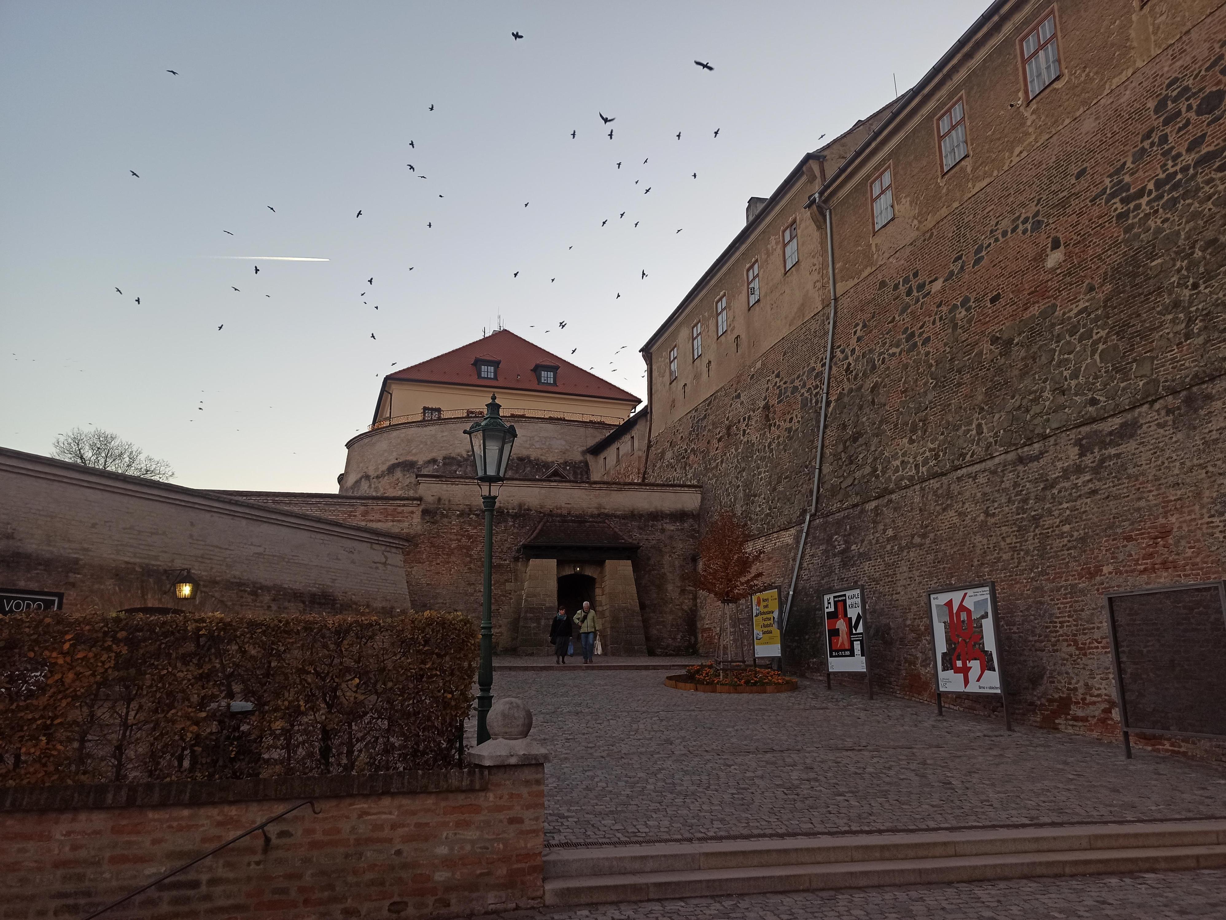 Babinský bistro foto 5