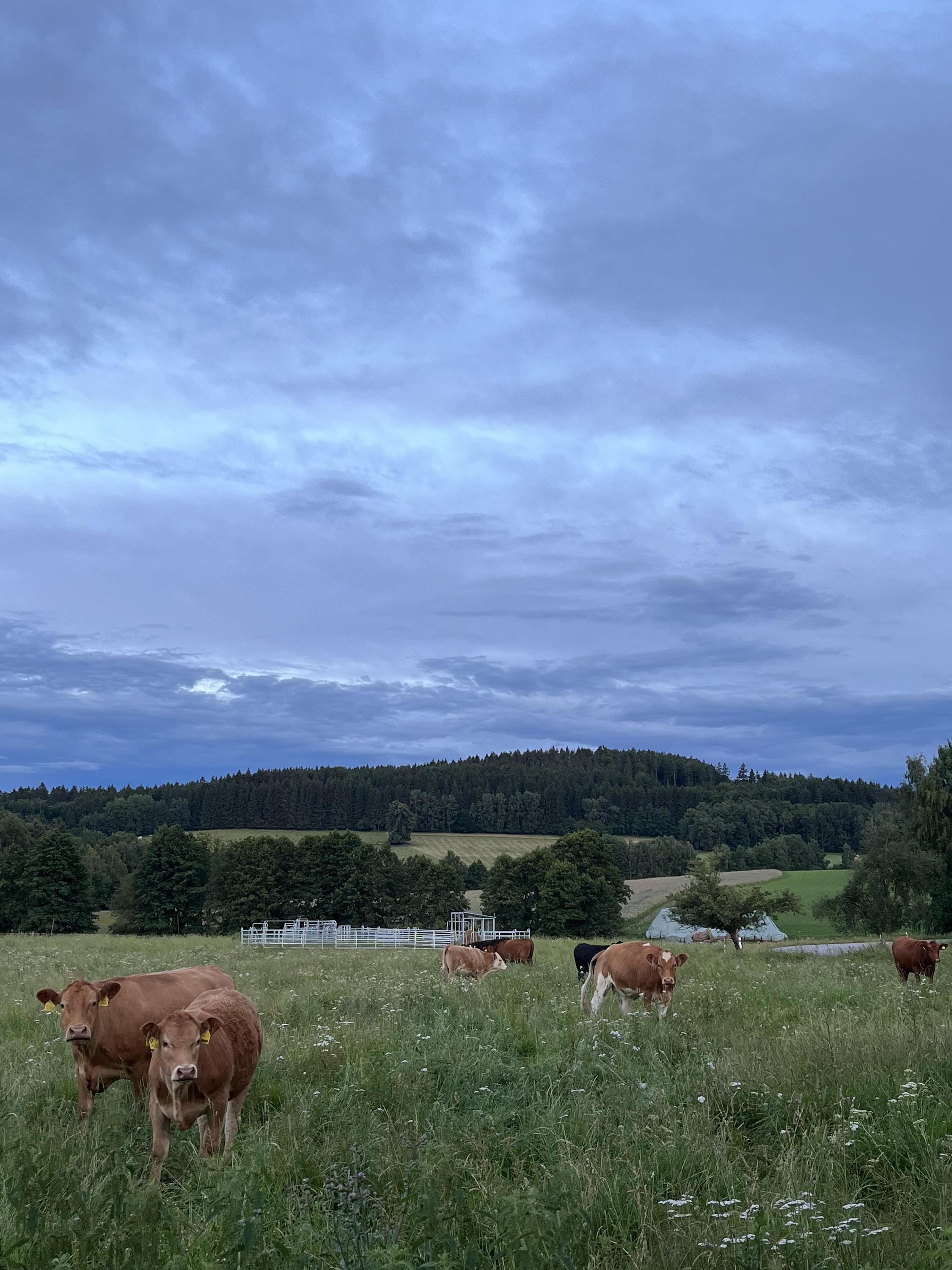 Rodinná BIO Farma U Jakuba foto 3