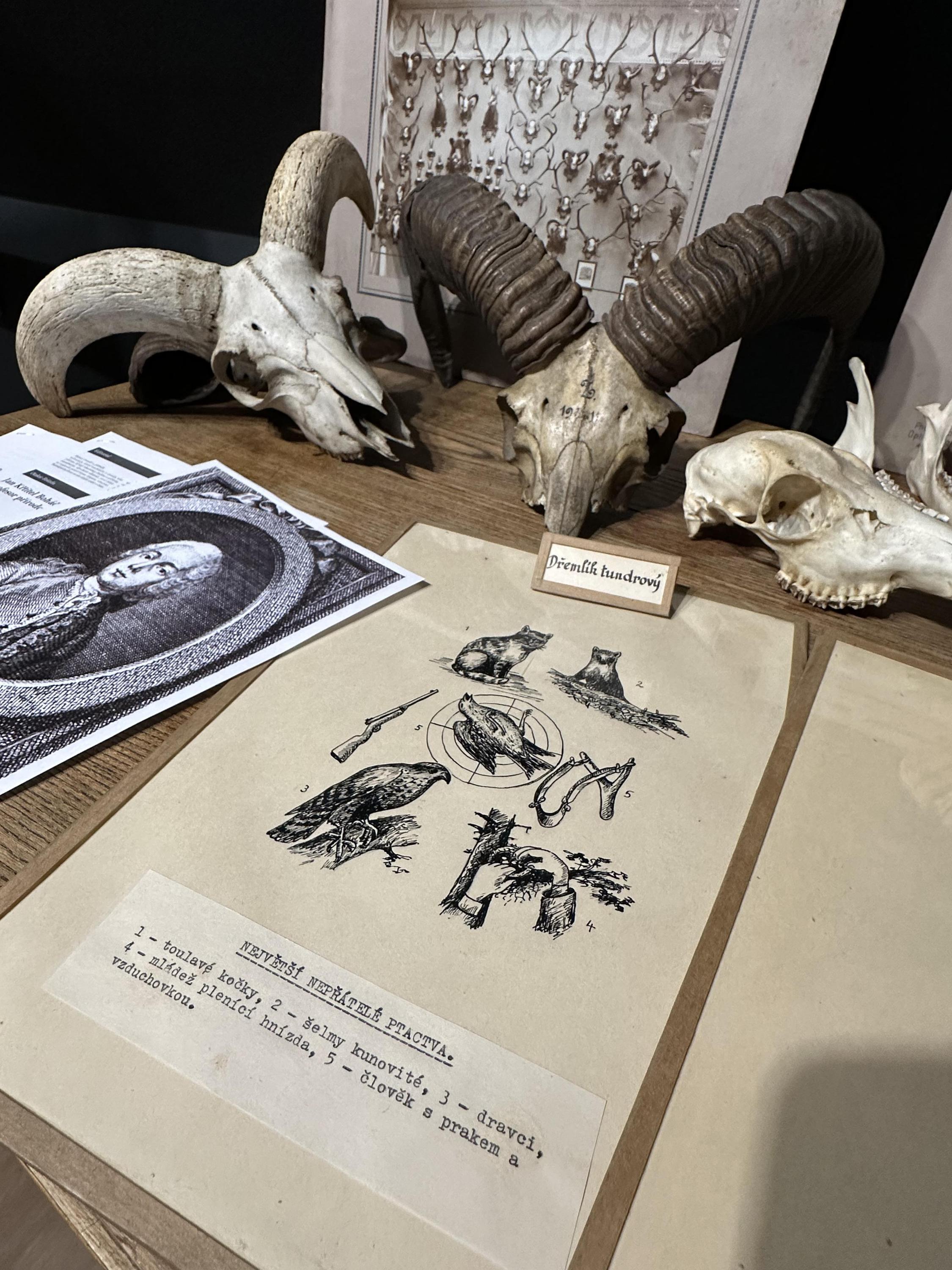 Městské muzeum a galerie Nepomuk foto 6