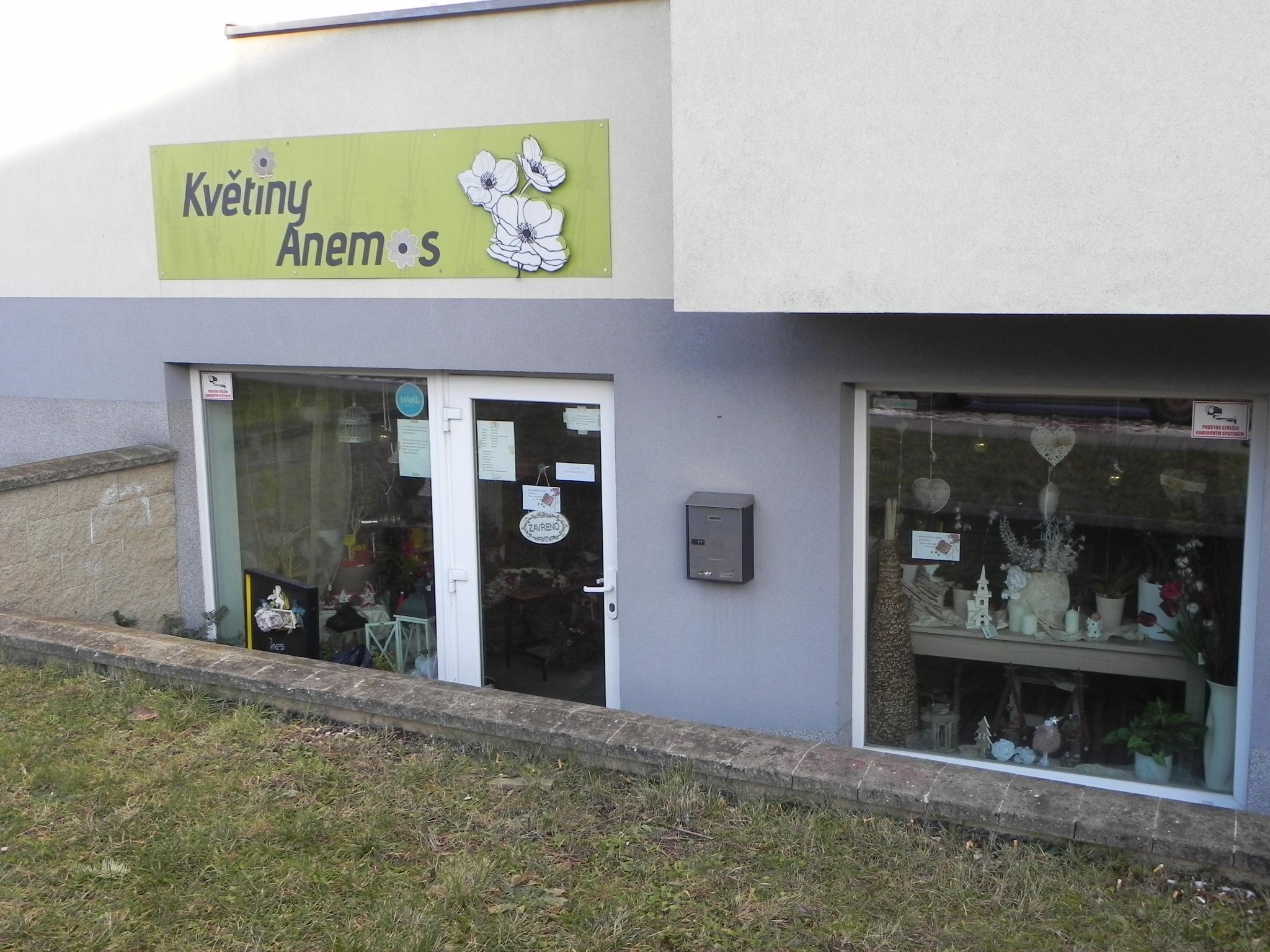 Květiny Anemos foto 3