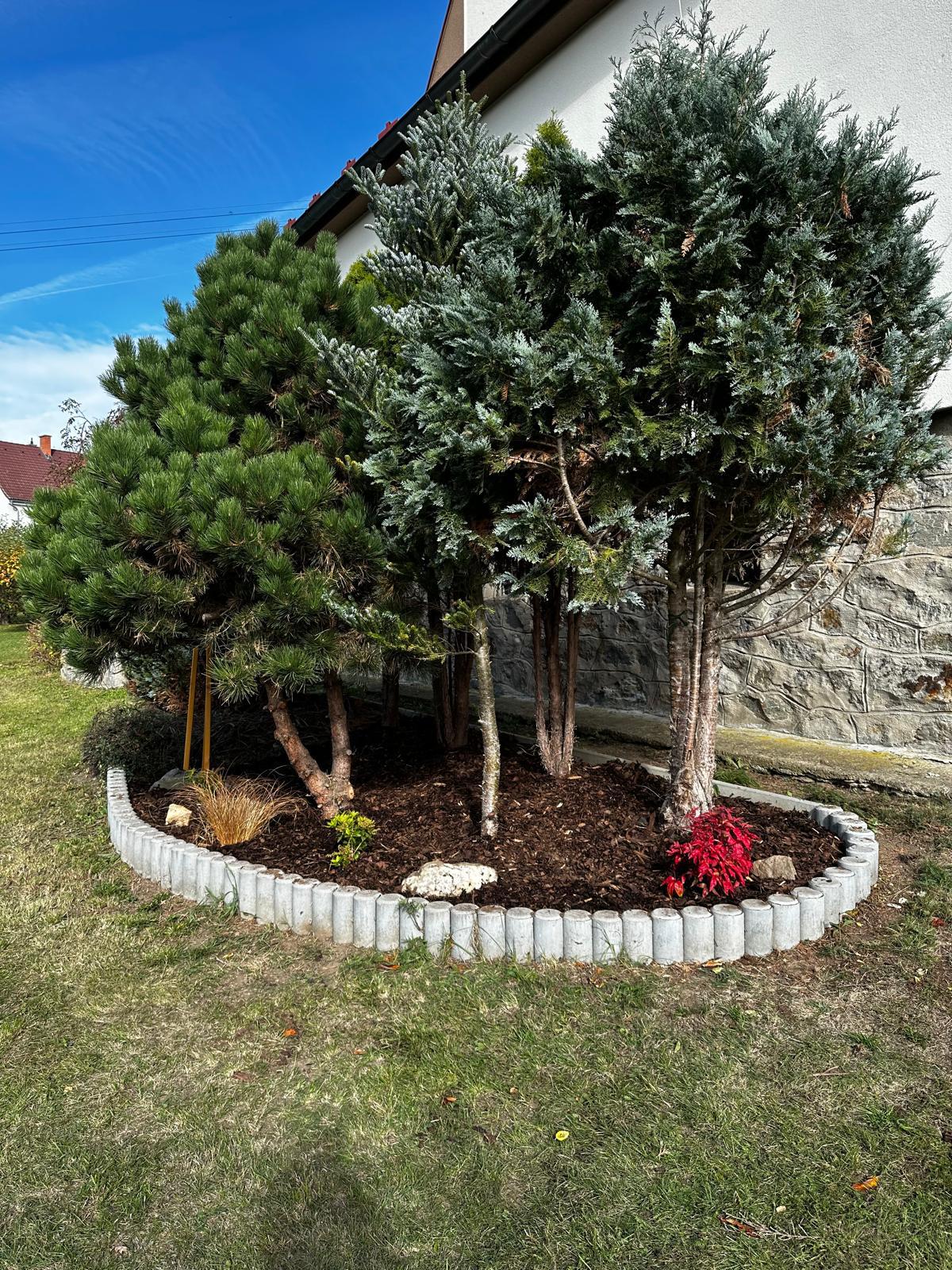 Evelegarden.cz foto 3