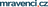logo mravenci na online