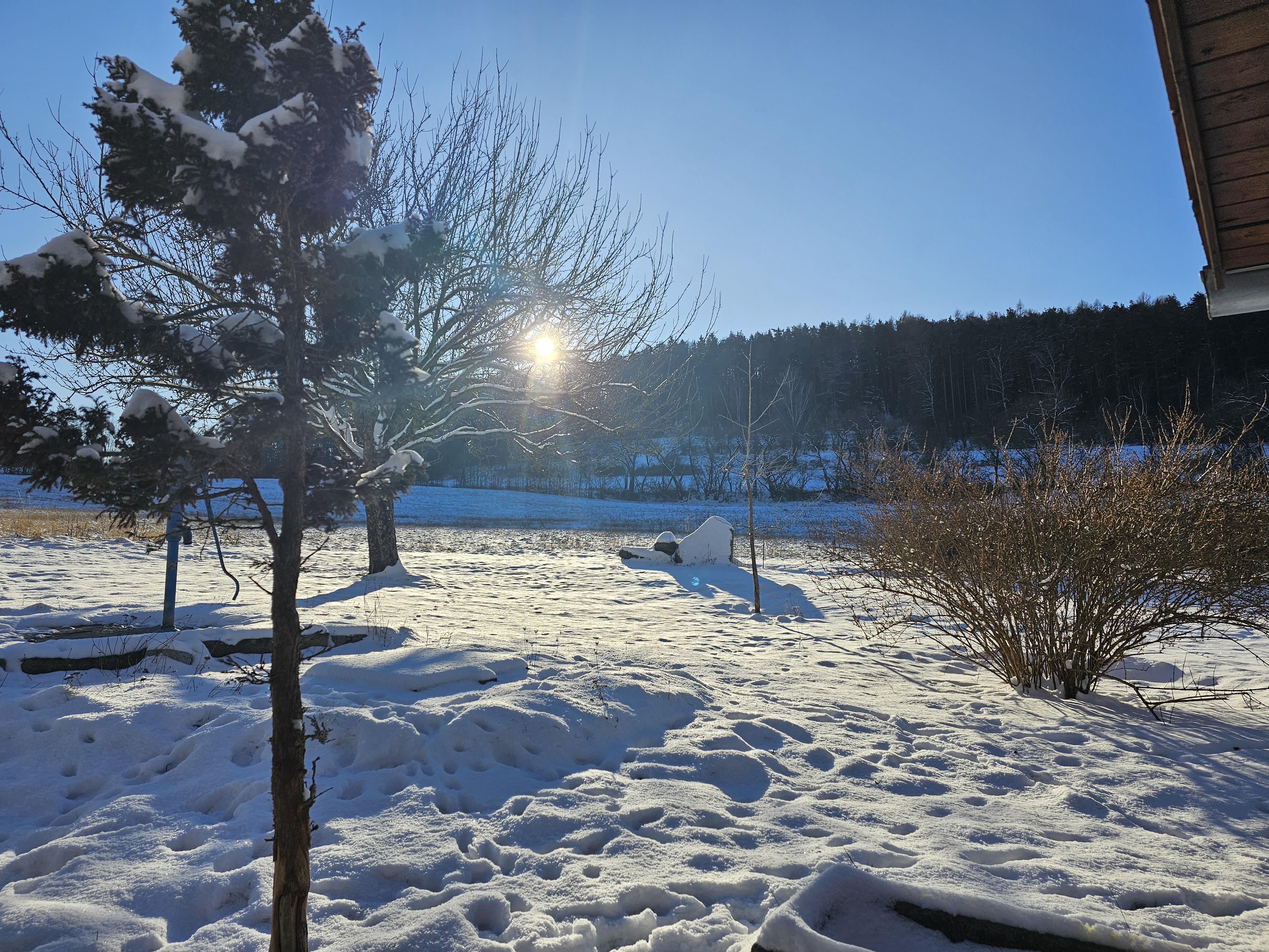 Alternativ CZ foto 1