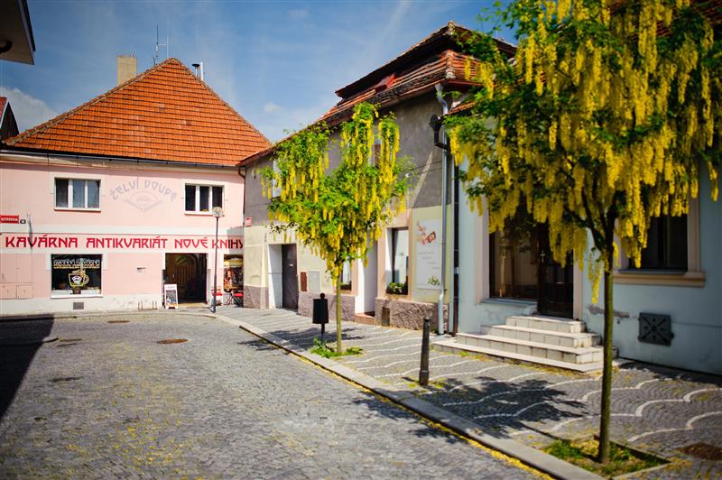 Café Živel foto 2