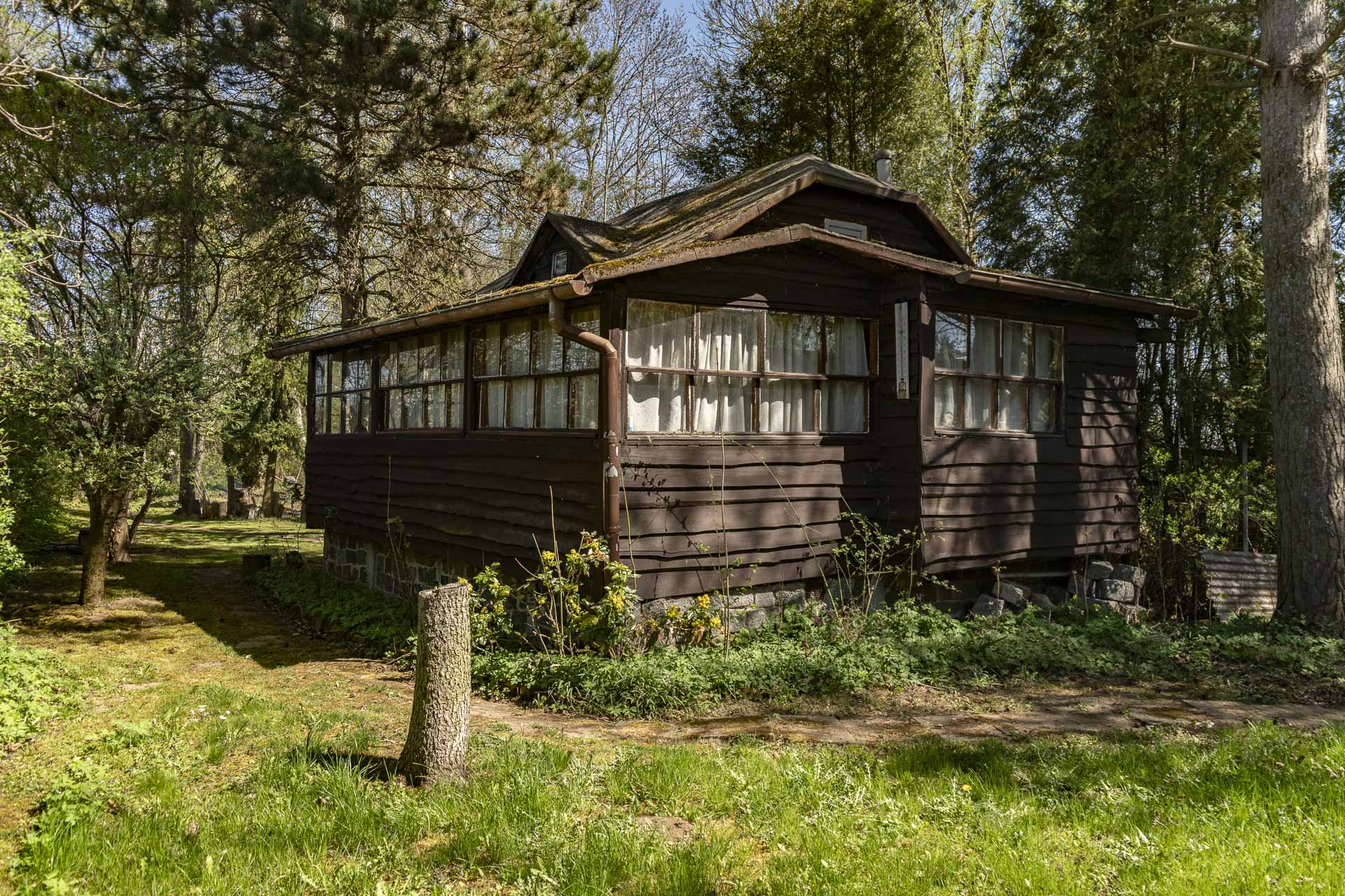 Štěpánka Mimrová - Privátní realitní makléřka foto 2
