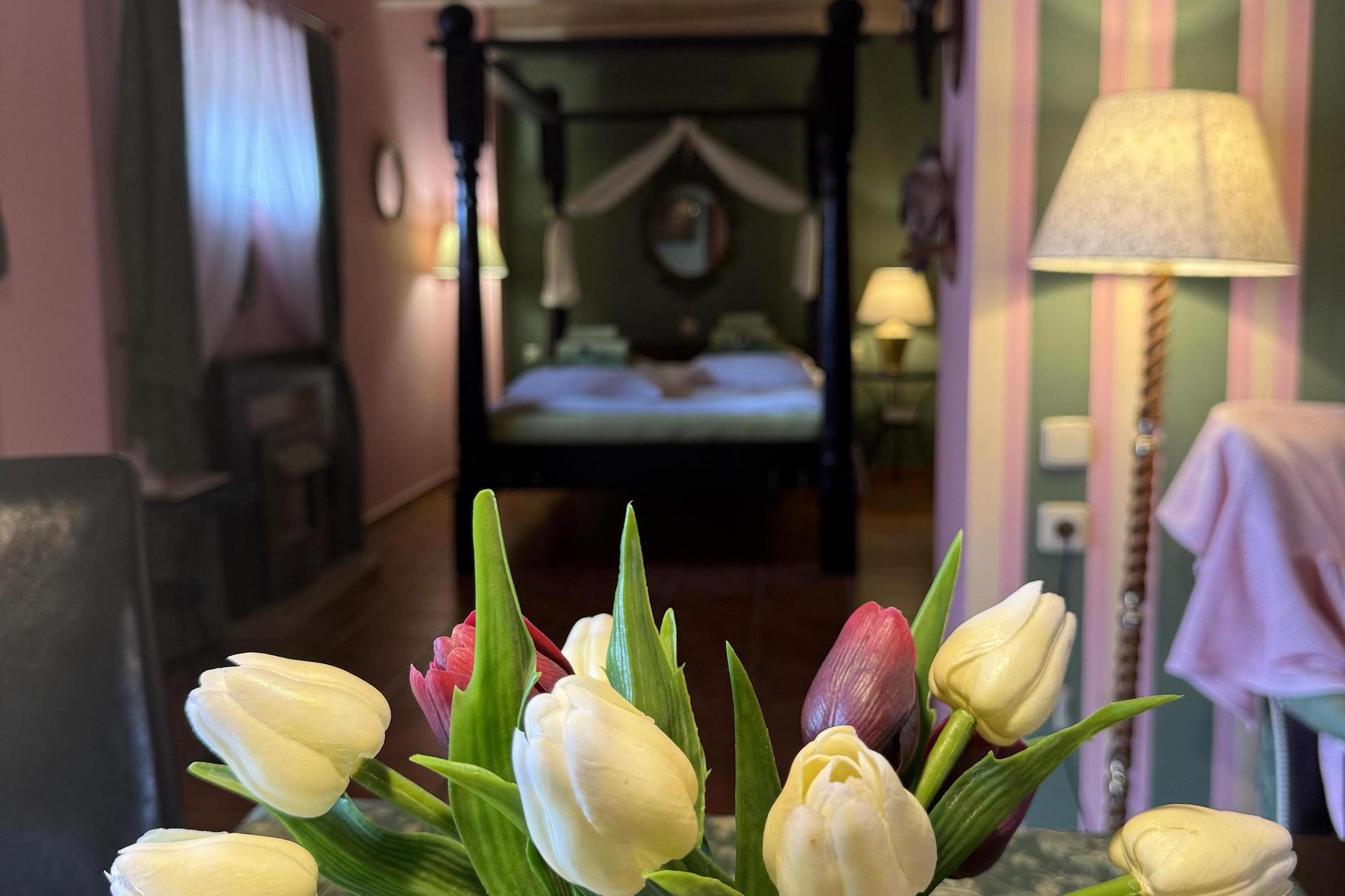 Apartmány U NOVAČKY foto 1