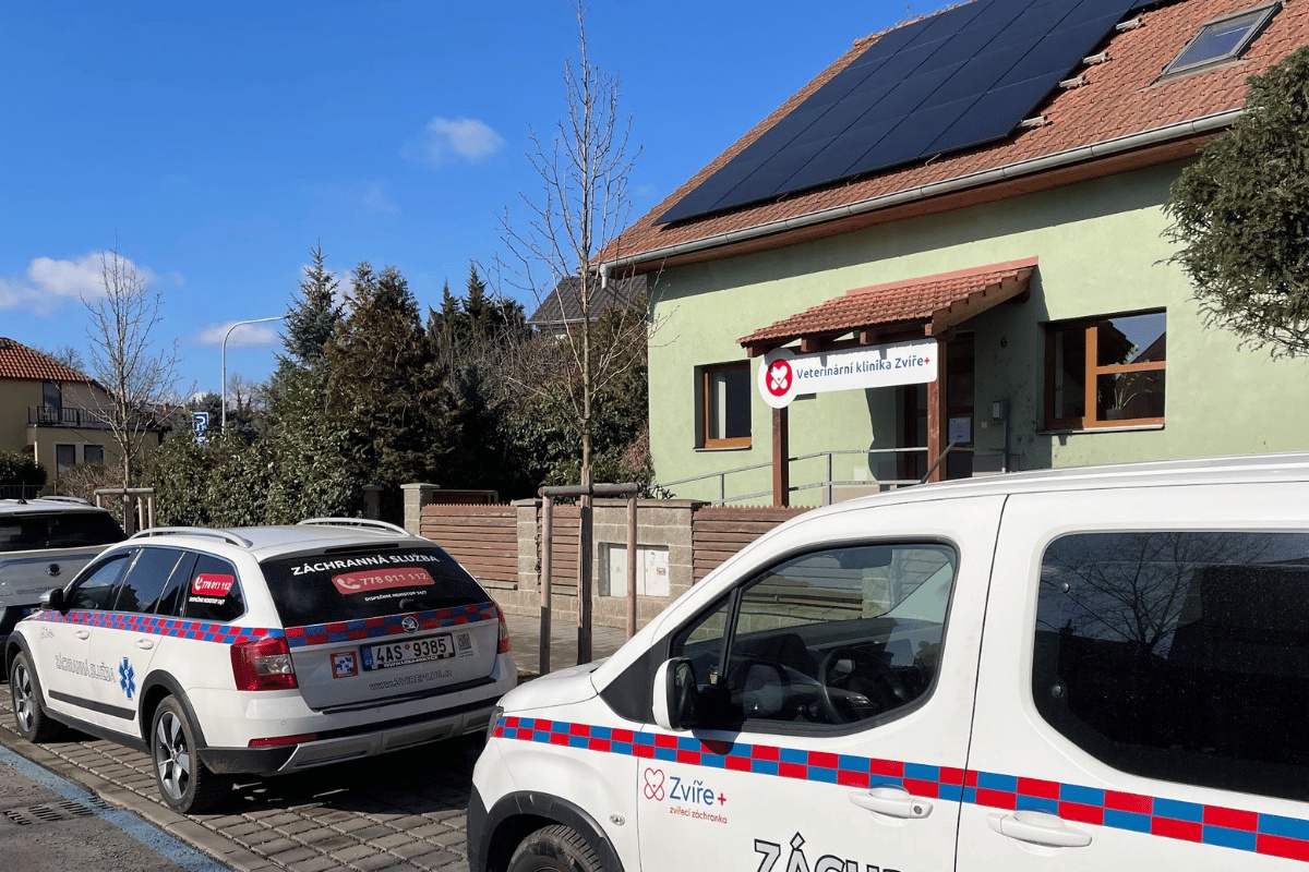 Veterinární klinika Zvíře+ foto 3
