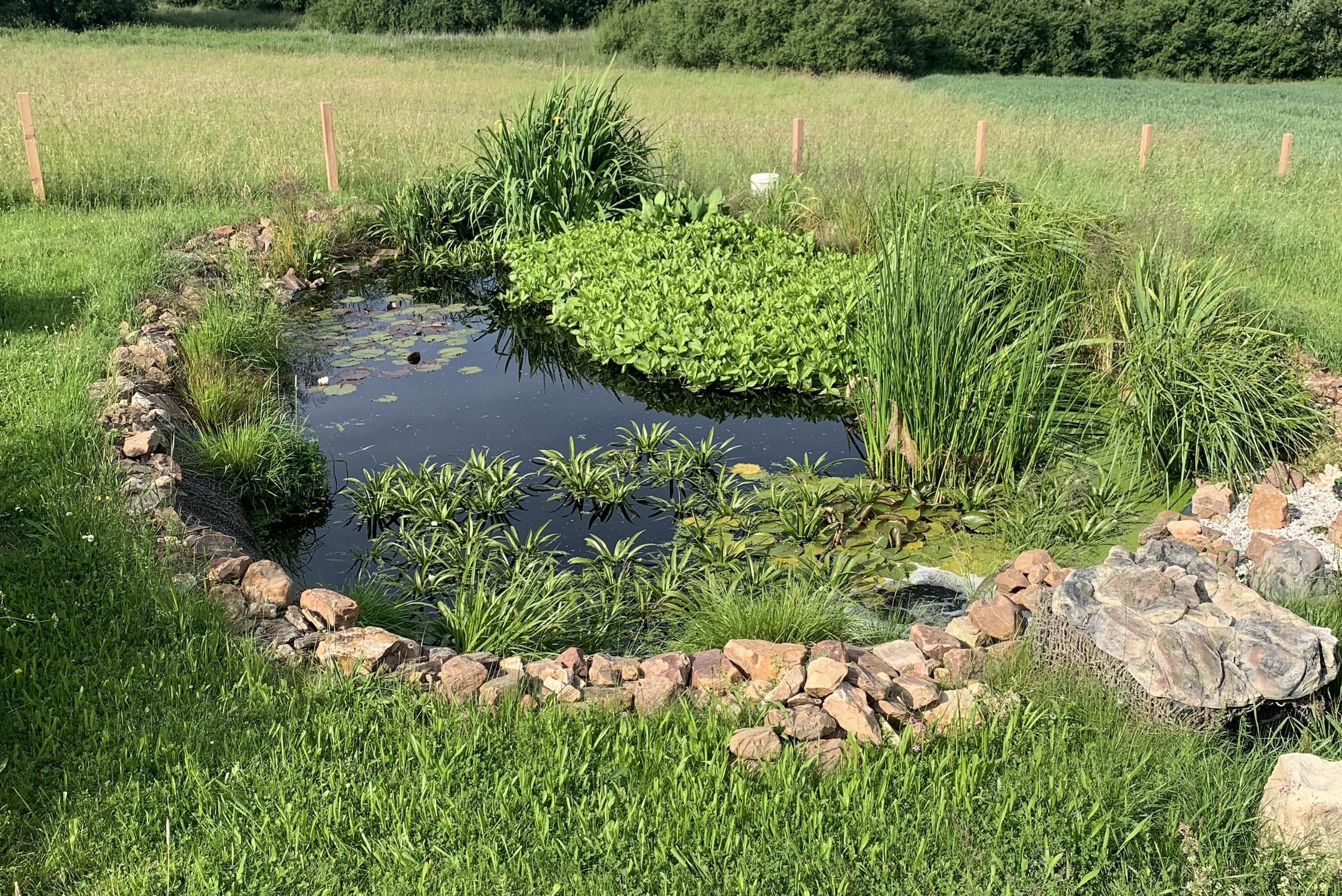 Svatoslav Miller foto 1