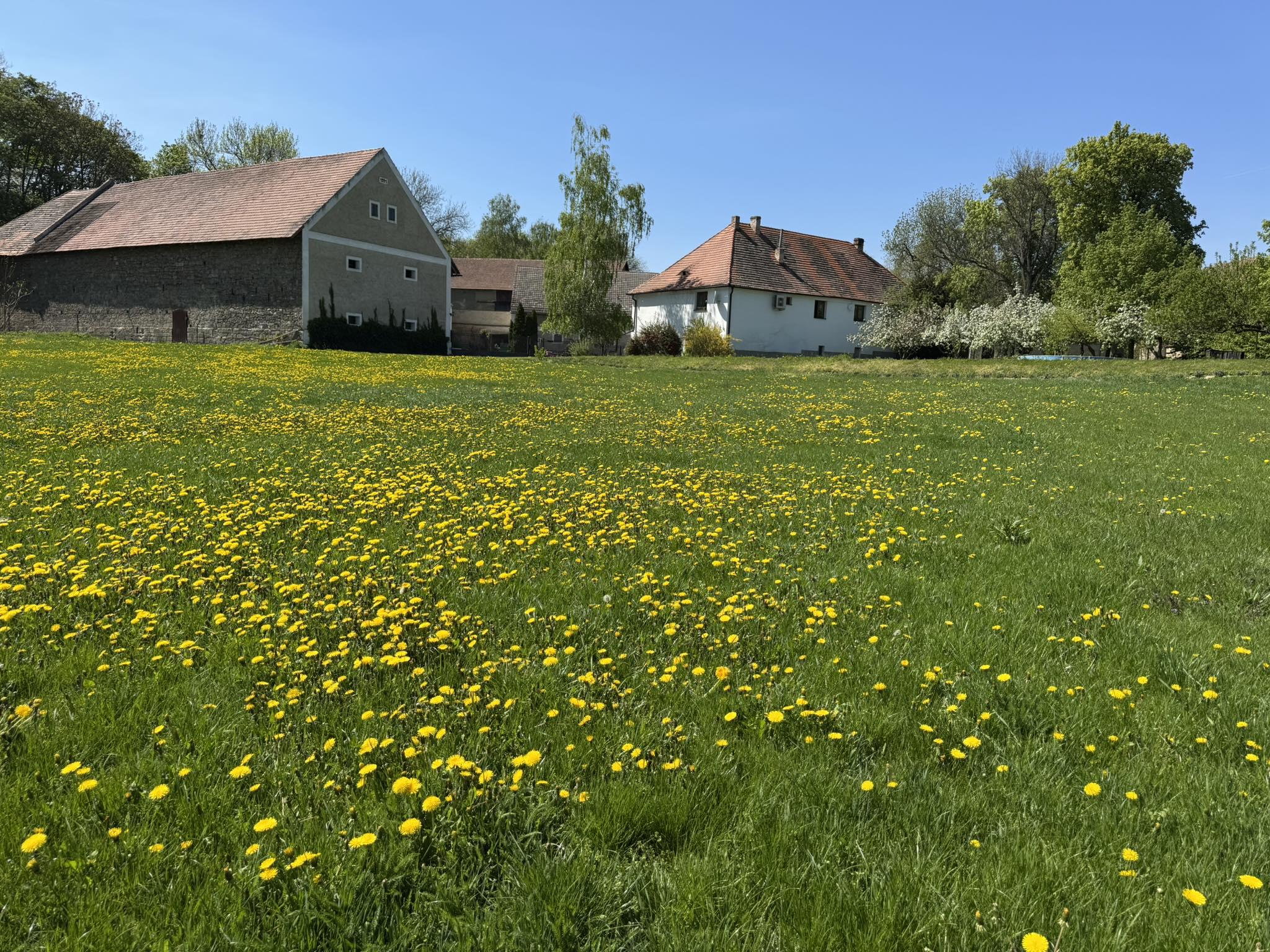 Ondřej Suk - rostlinná výroba, pronájem obytných vozů foto 5