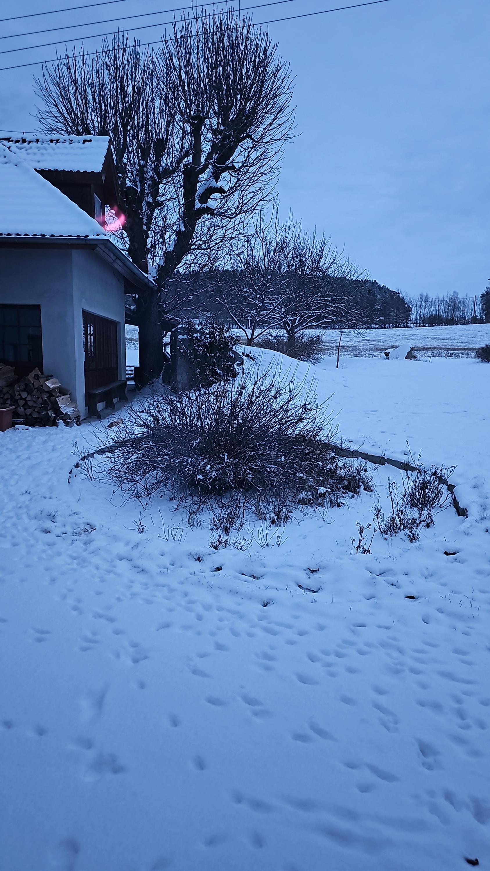 Alternativ CZ foto 2