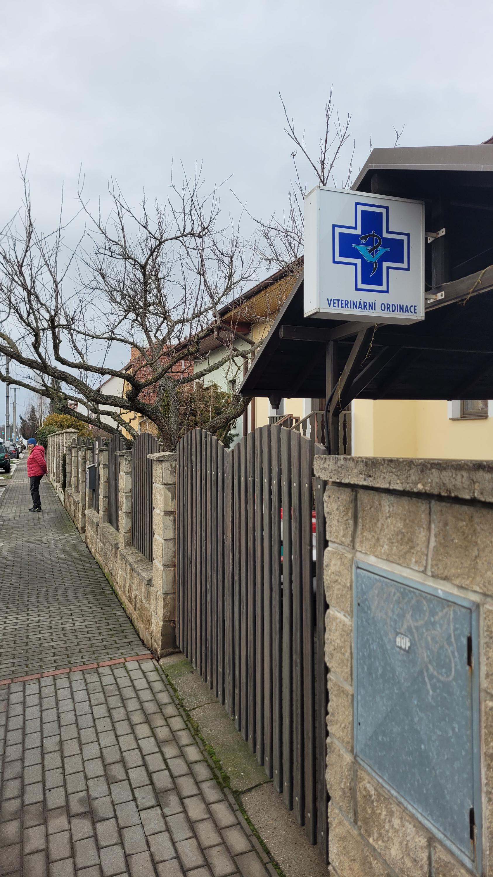 Veterinární ordinace Holásky - MVDr. Hana Pavláková foto 5
