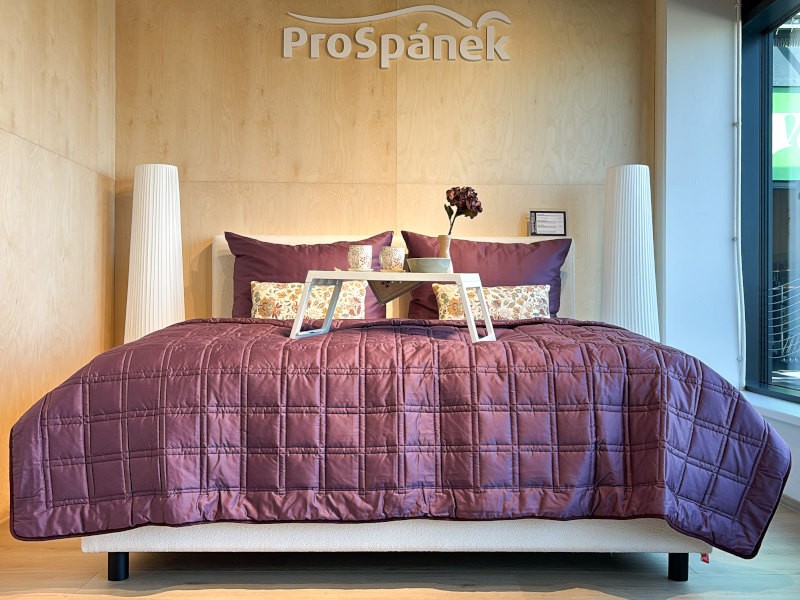 ProSpánek foto 2