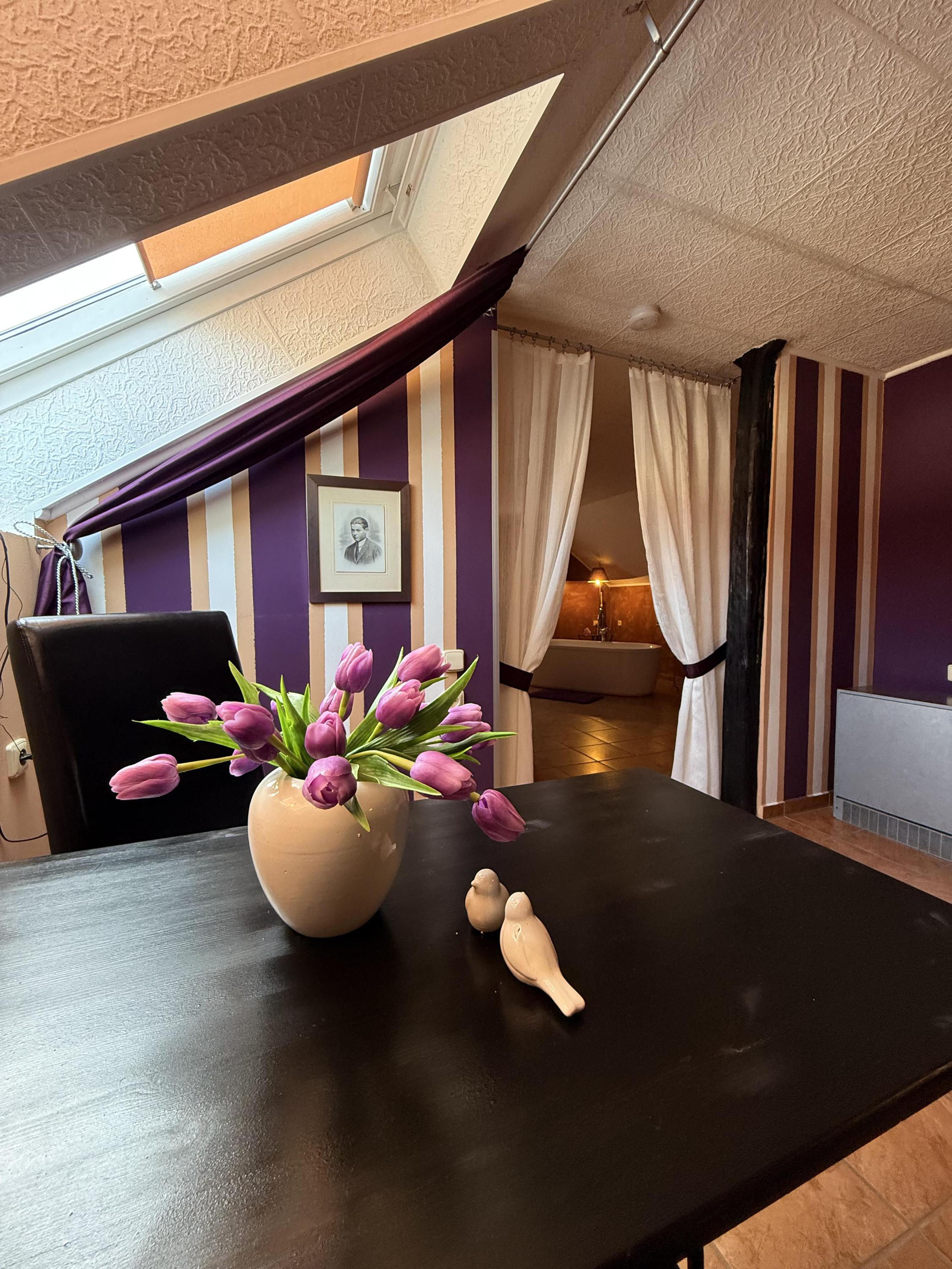 Apartmány U NOVAČKY foto 2