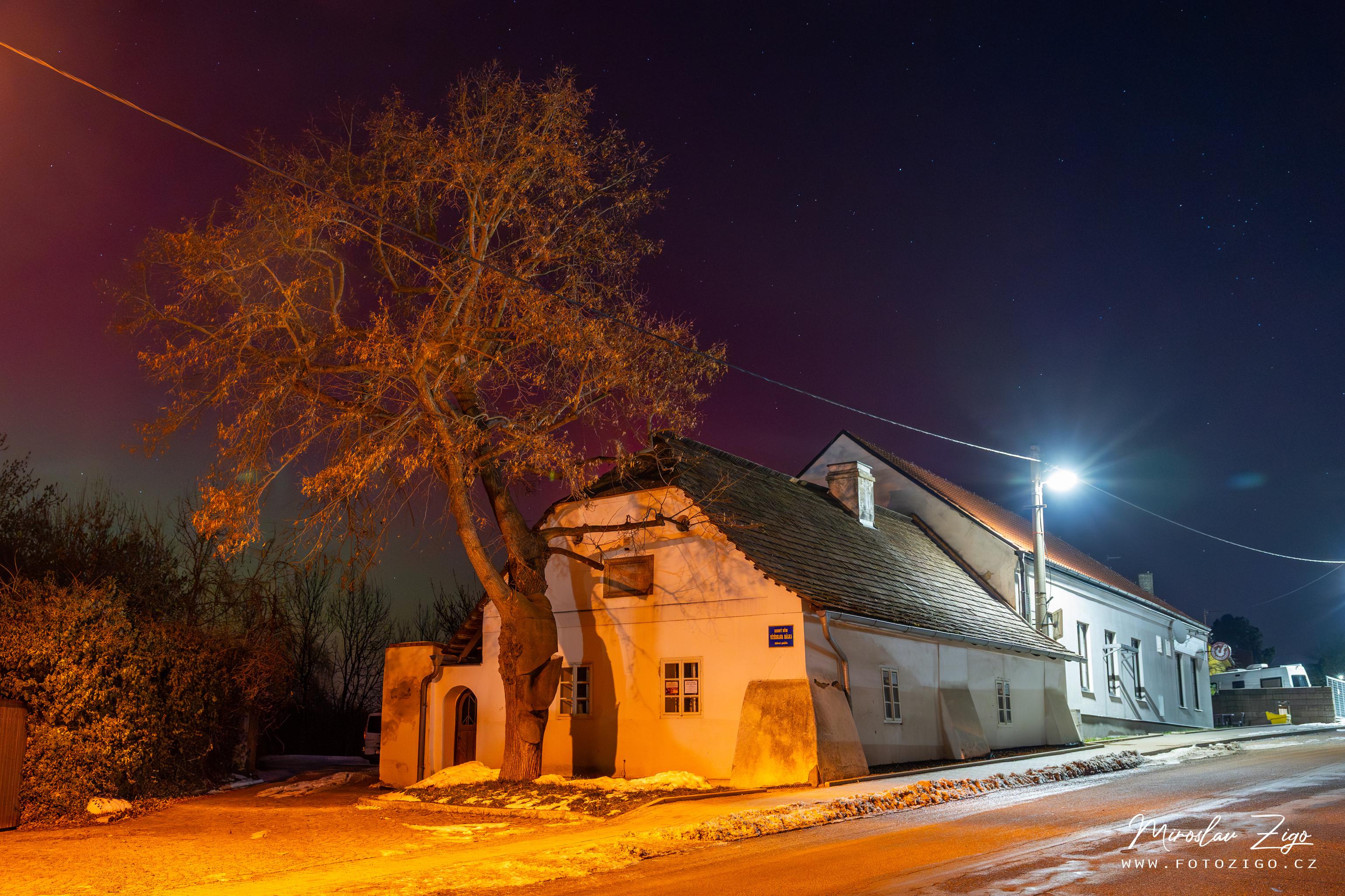 Památník Vítězslava Hálka foto 2