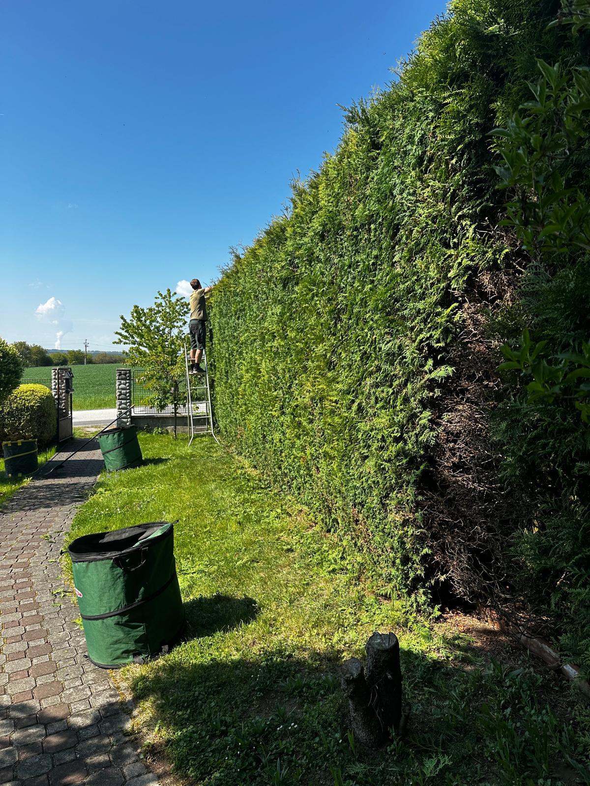 Evelegarden.cz foto 3
