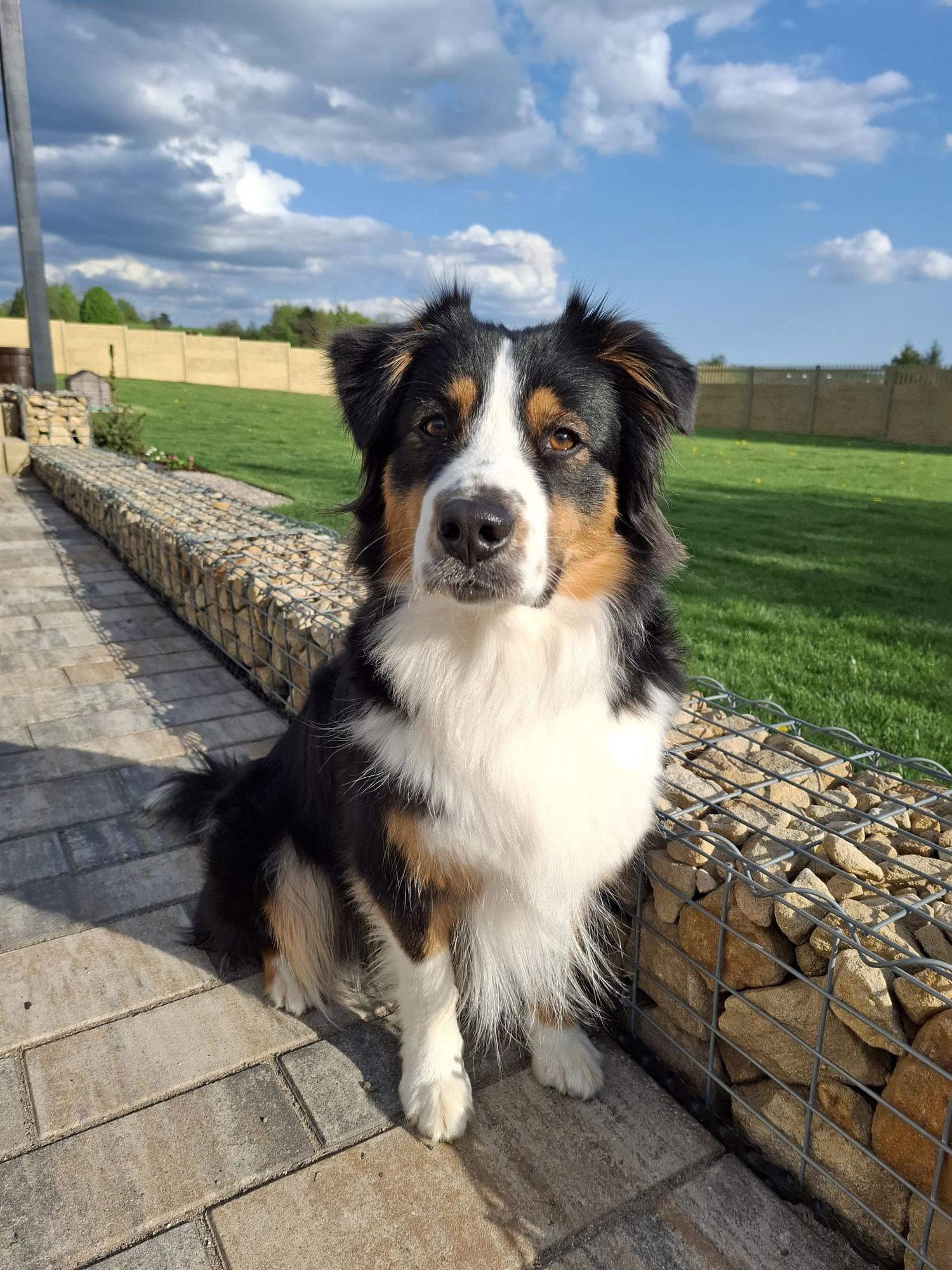 Chovatelská stanice Podhorský sen foto 3