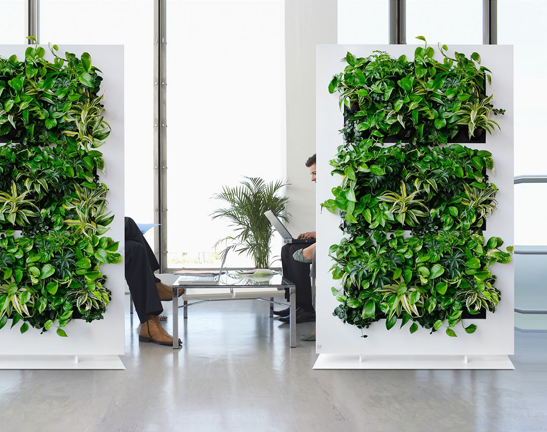 EcoFern foto 2